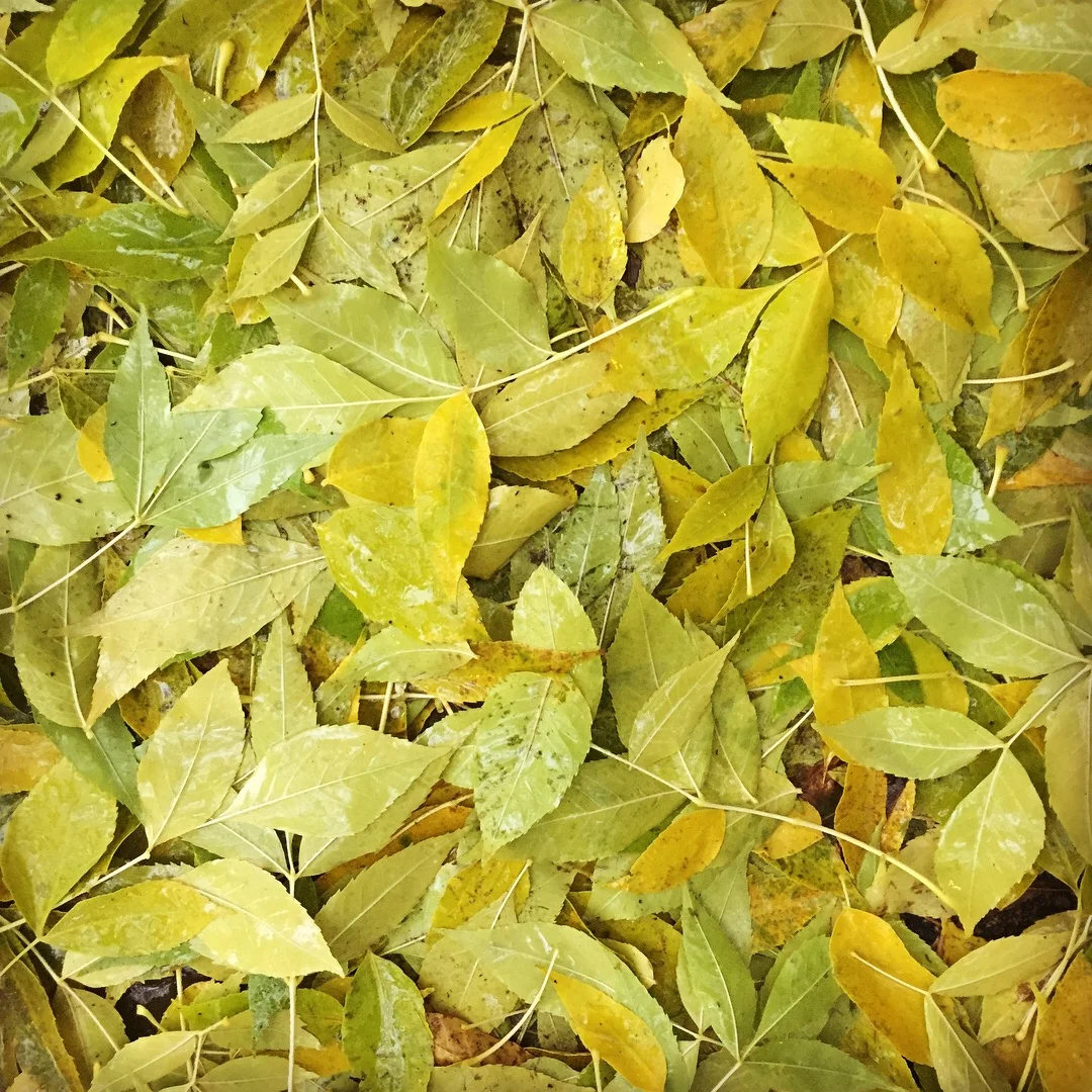 Fall 2018 Housing Market Update | Twin Cities 