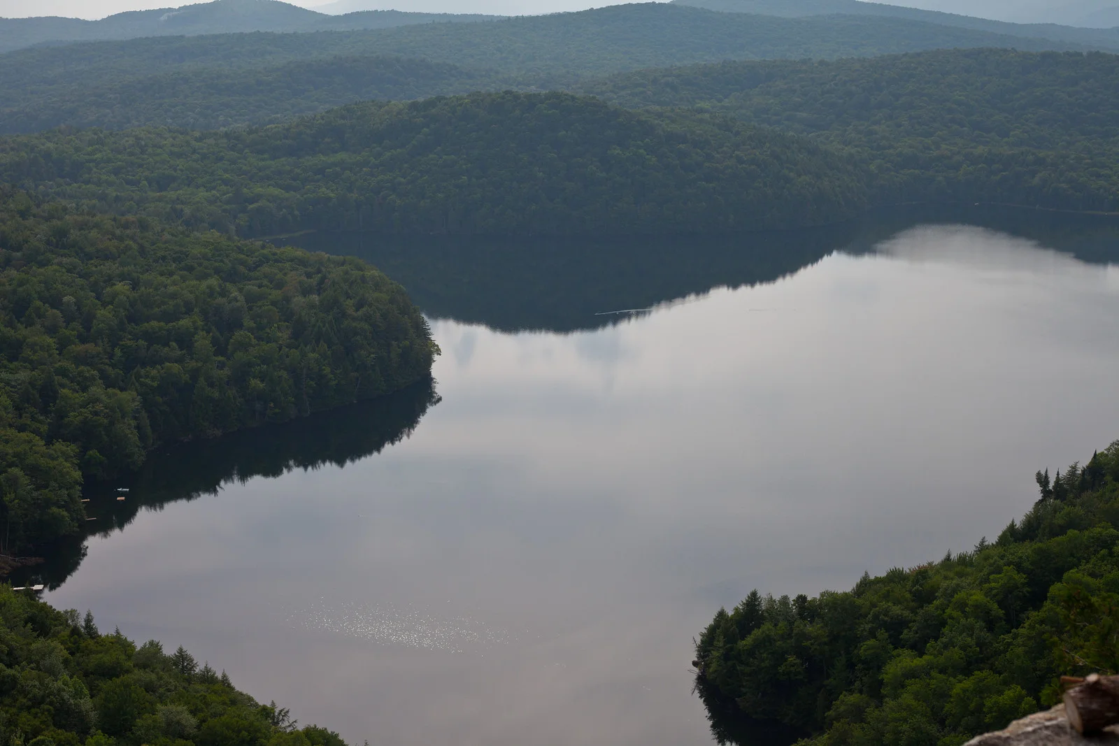 The business of a healthy local ecology