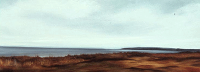 Blue Sky and Bog - 14.5 x 7.5 inches - oil on canvas - sold
