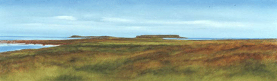 Lanse-aux-Meadows - 40 x 14 inches - oil on canvas - sold