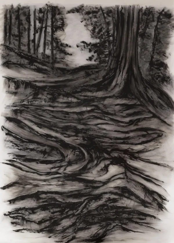 foret noir 1