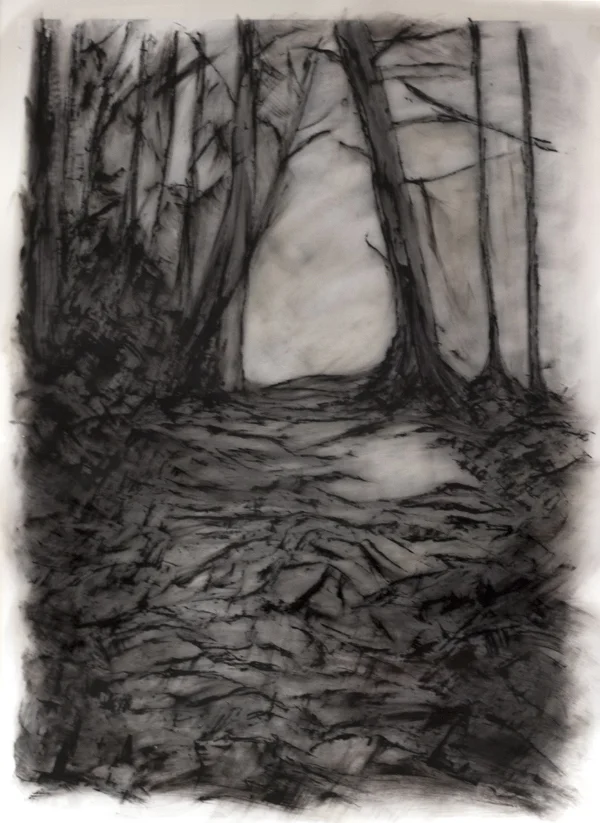 Foret noir 2