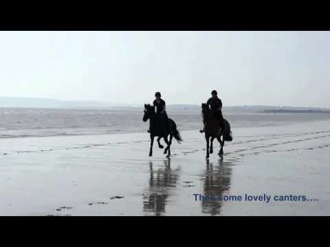 Dolly & Sooty at Camber