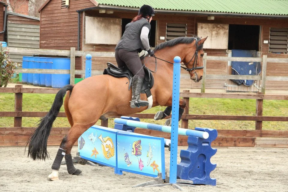 JJ Jumping 1.jpg