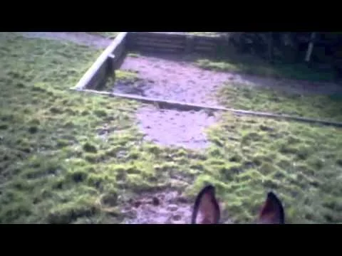 Lodge Farm 11 Mar 2015