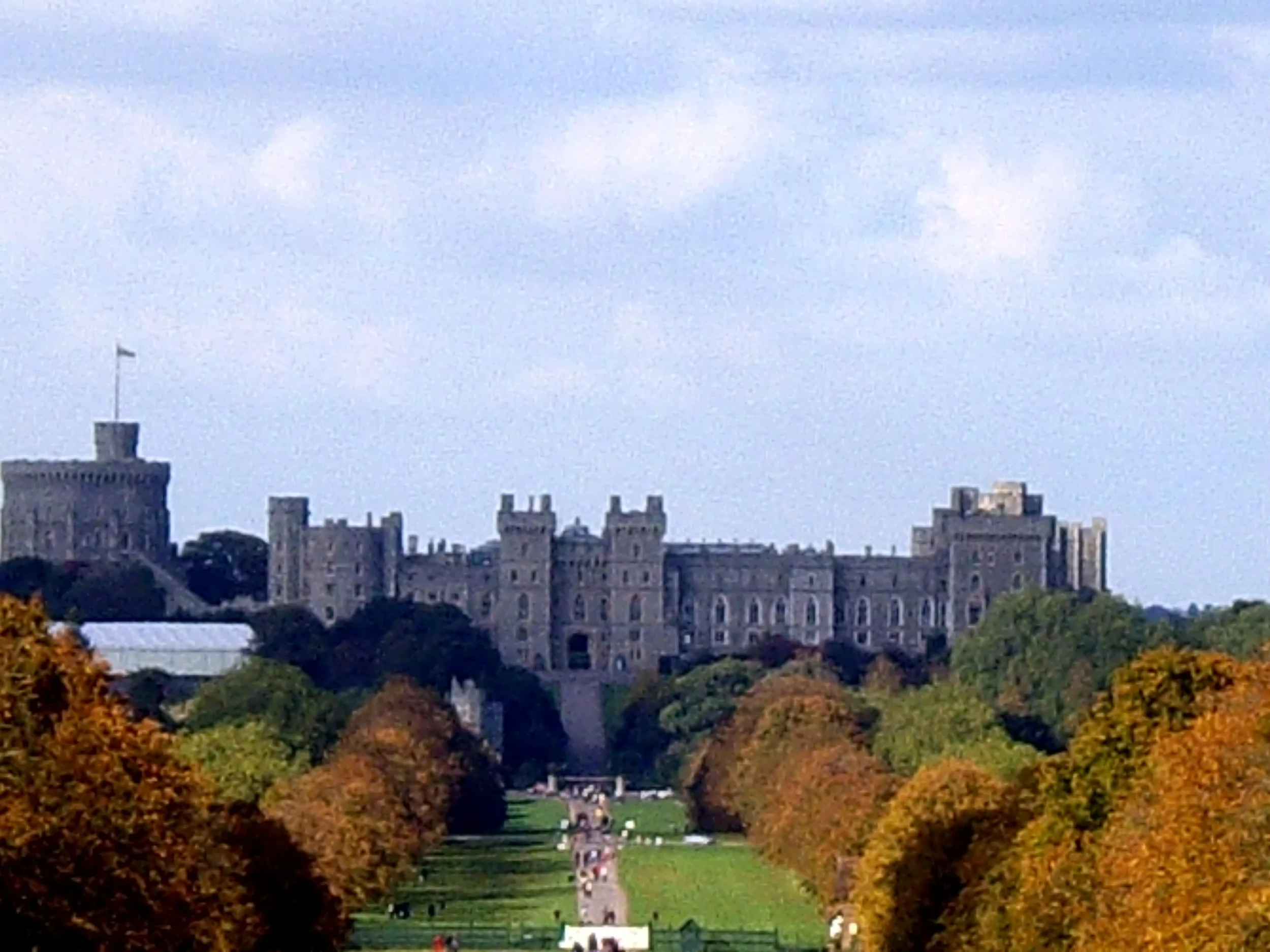 IMGP3216.JPG