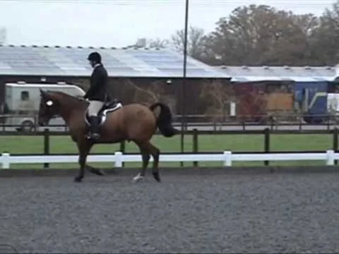  Oldencraig may have given us 65.5% for this effort and it was masses better than some previous performances but oh my was this painful. I came away pleased with JJ’s efforts because this is dramatically better than normal but still so wide of the ma