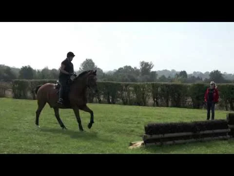 Bonfleur 29 Sep 2013