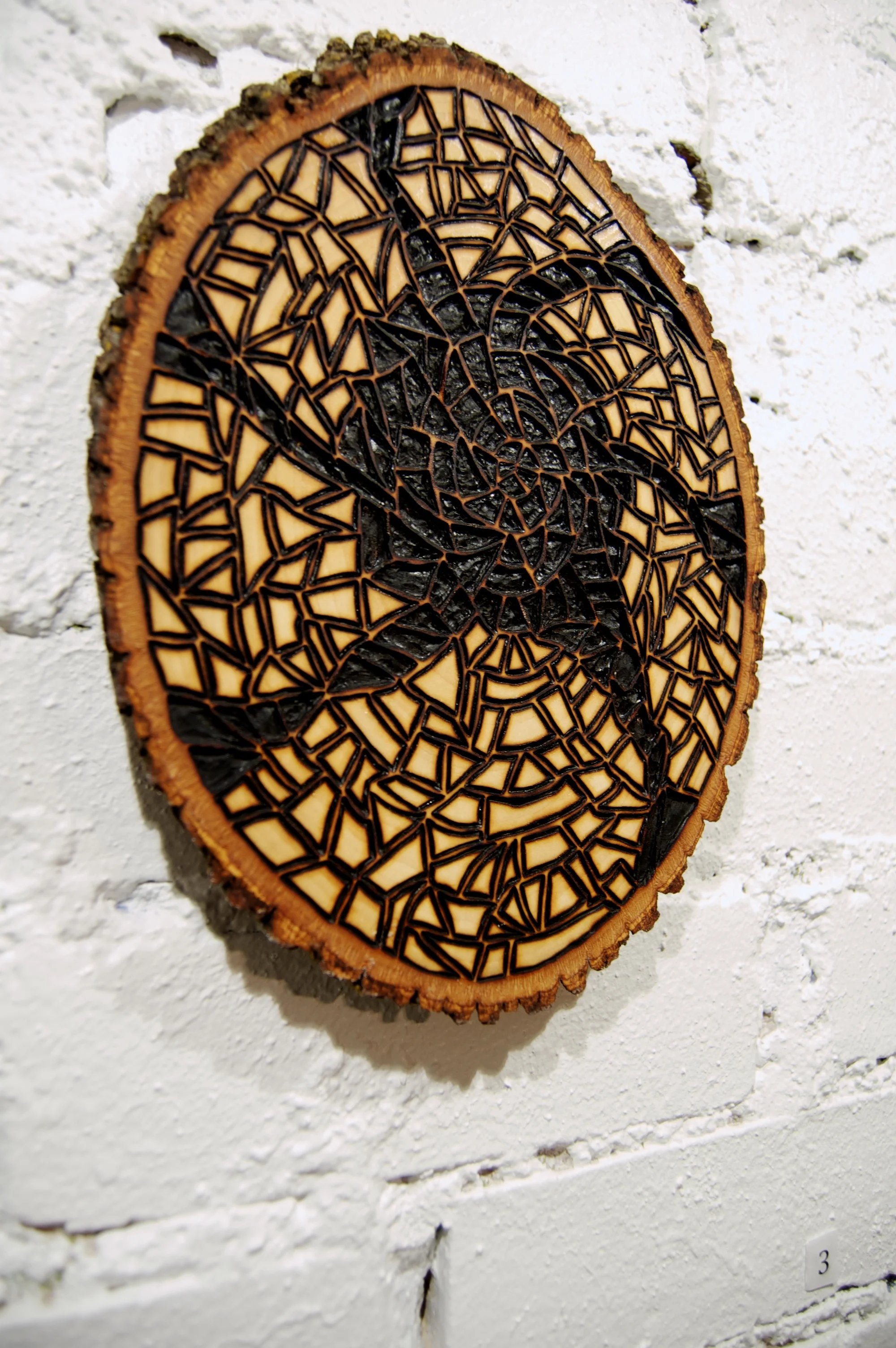 Turning (2015) Wood Burning on Bass Wood Bark Slab 7 ¼ in x 1 in x 10 in SOLD