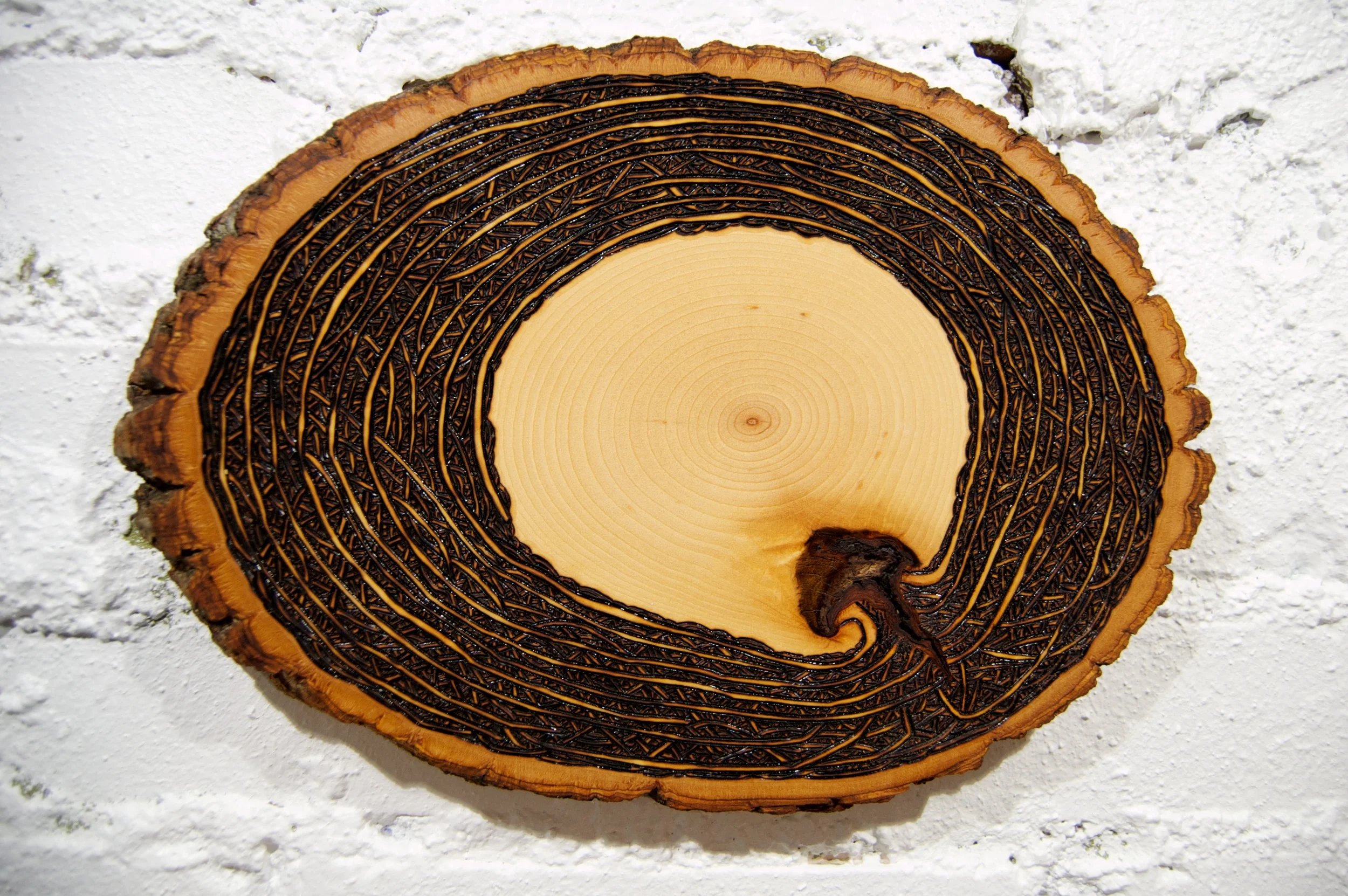Space (2015) Wood Burning on Bass Wood Bark Slab 11½ in x 1 in x 8 in SOLD