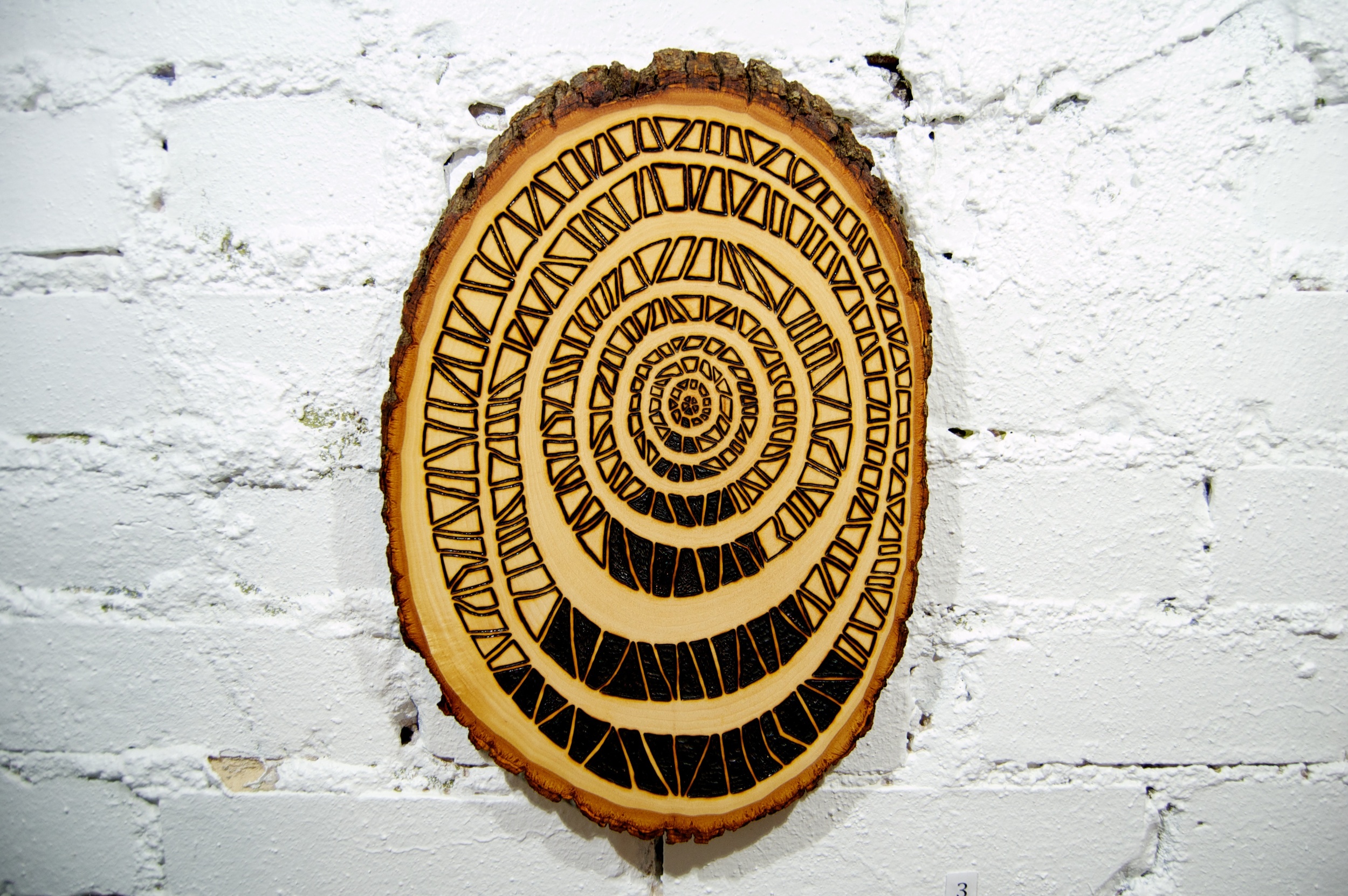 Entrance (2015) Wood Burning on Bass Wood Bark Slab 8½ in x 1 in x 12 ½ in SOLD