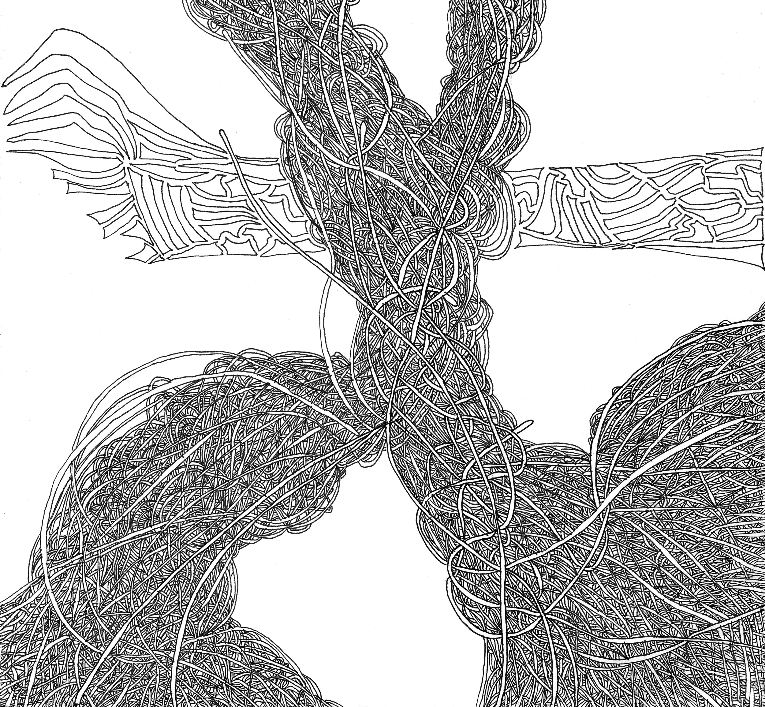 Beginning (2014) Acid Free Pen and Paper 5 in x 7 in 8 in x 10 in
