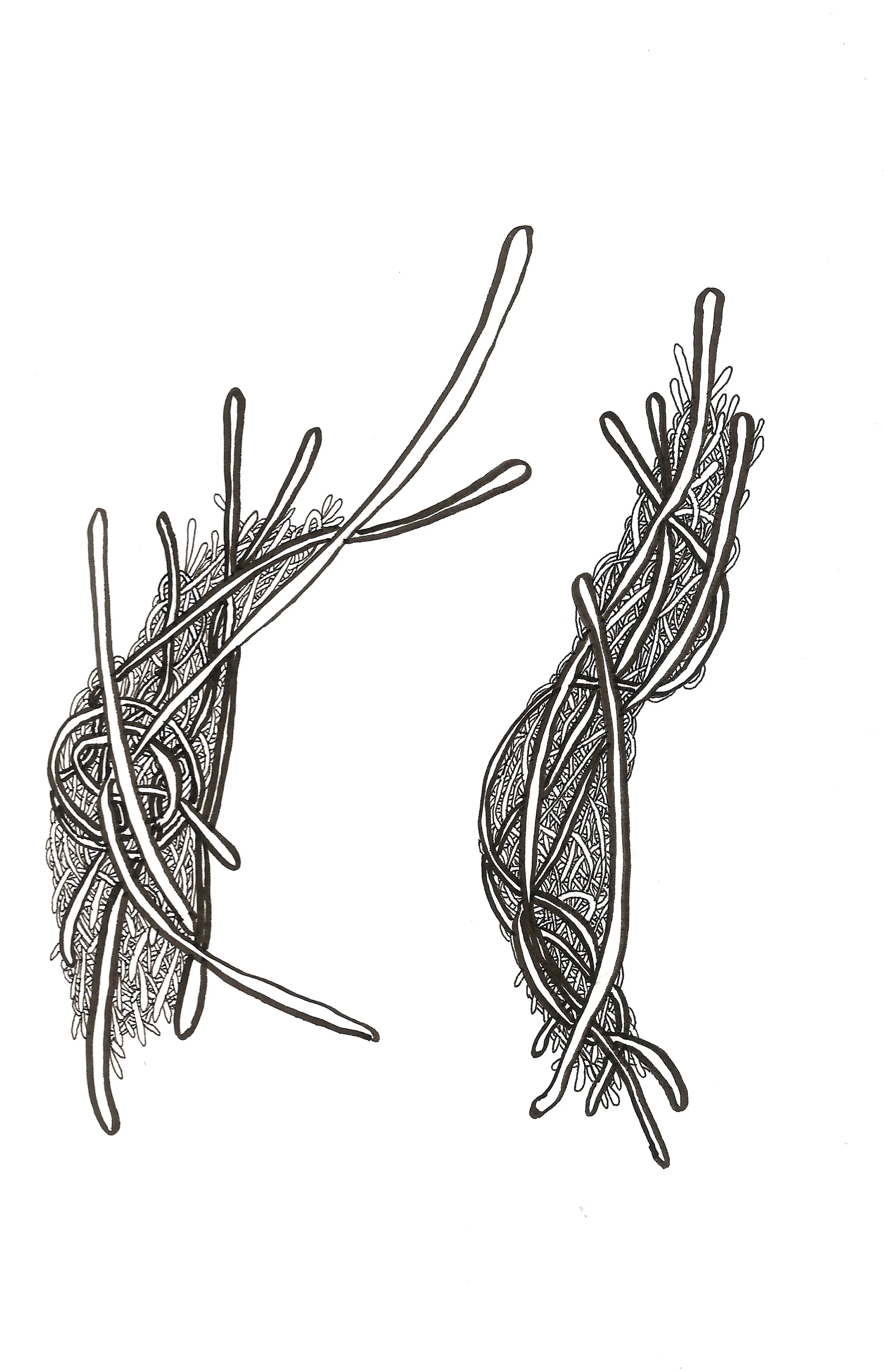 The Two (2015) Acid Free Pen and Paper 5 in x 7 in 8 in x 10 in