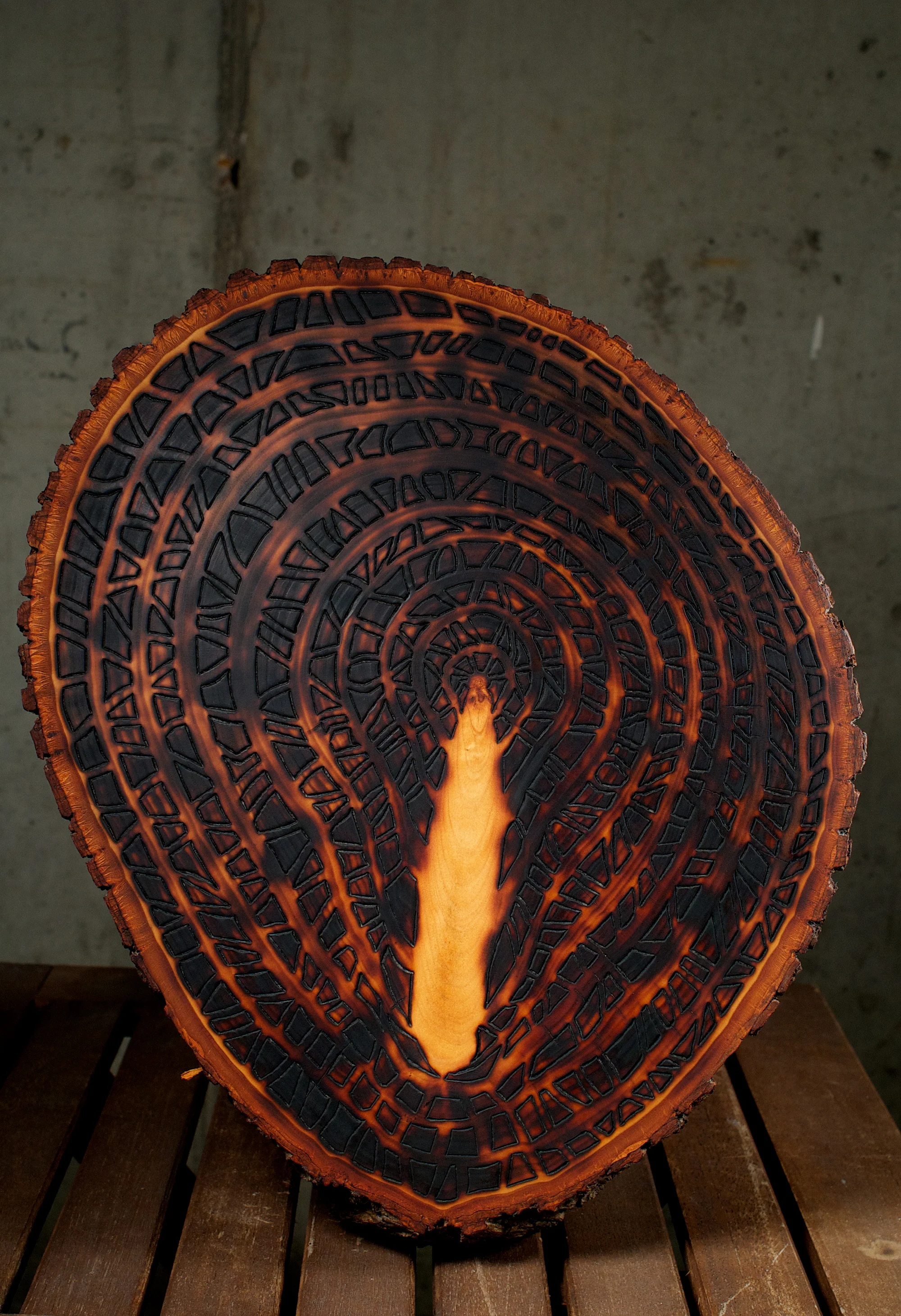 Light Inside Dark (2015) Wood Burning On Bass Wood Bark Slab 14 in x 2 in x 12 in
