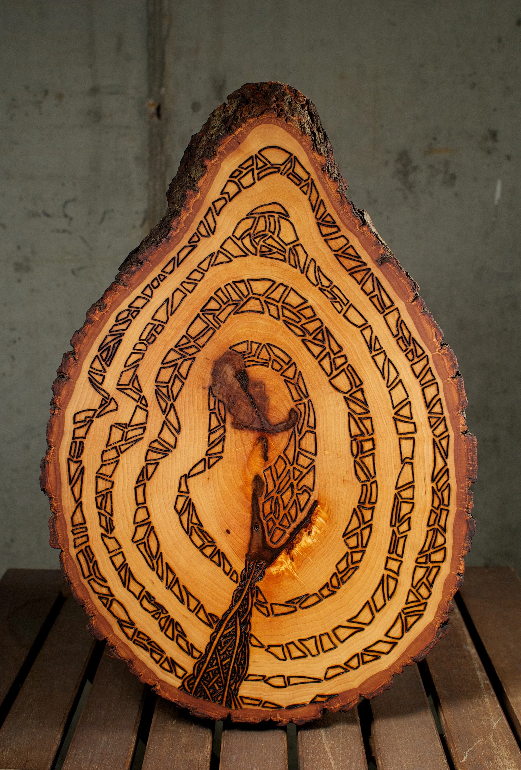 The Serpent (2015) Wood Burning On Bass Wood Bark Slab 15 in x 2 ½ in x 10 ½ in
