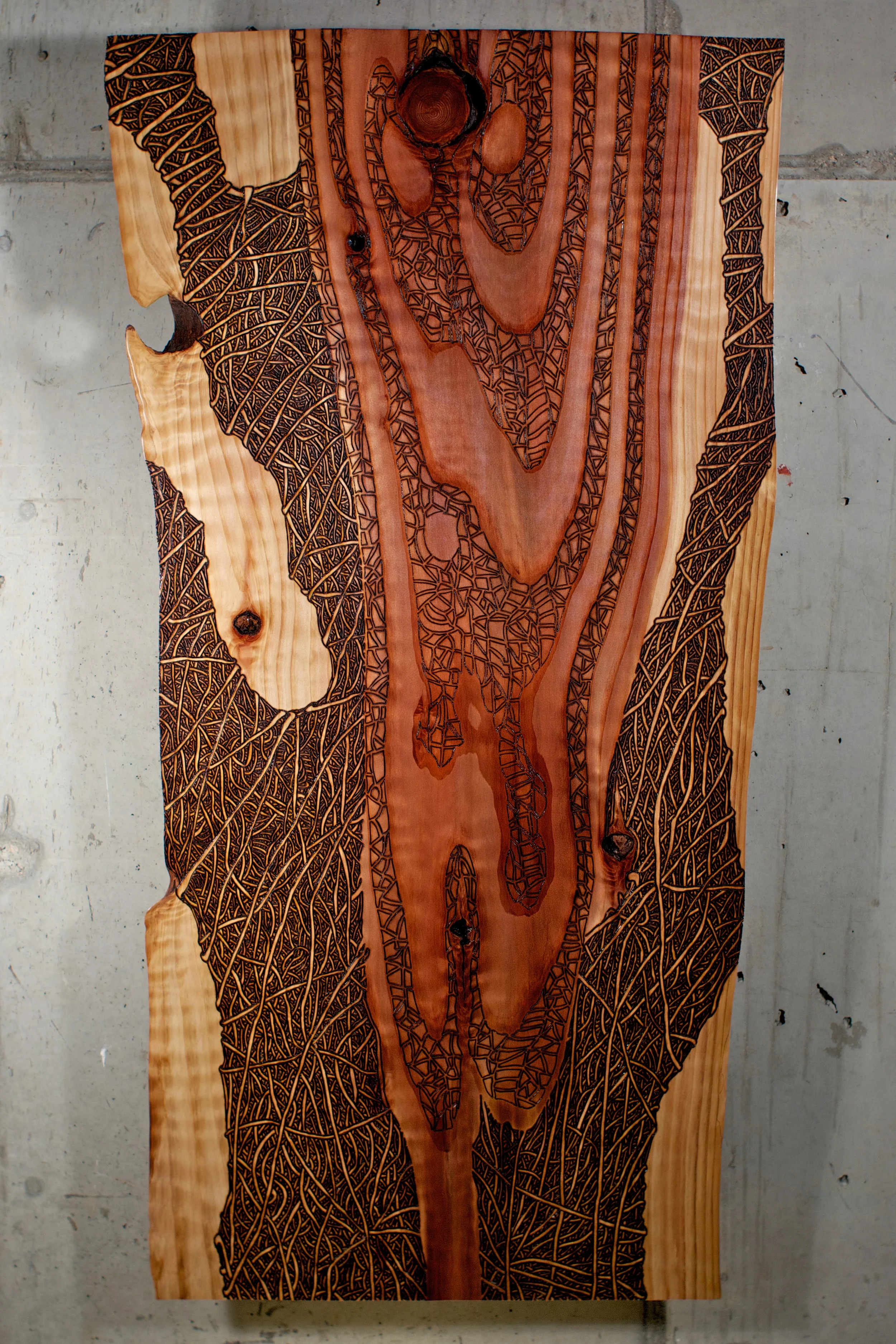Red Wood (2016) Wood Burning On Red Wood Live Edge Slab 43 in x 2 ½ in x 21 ½ in