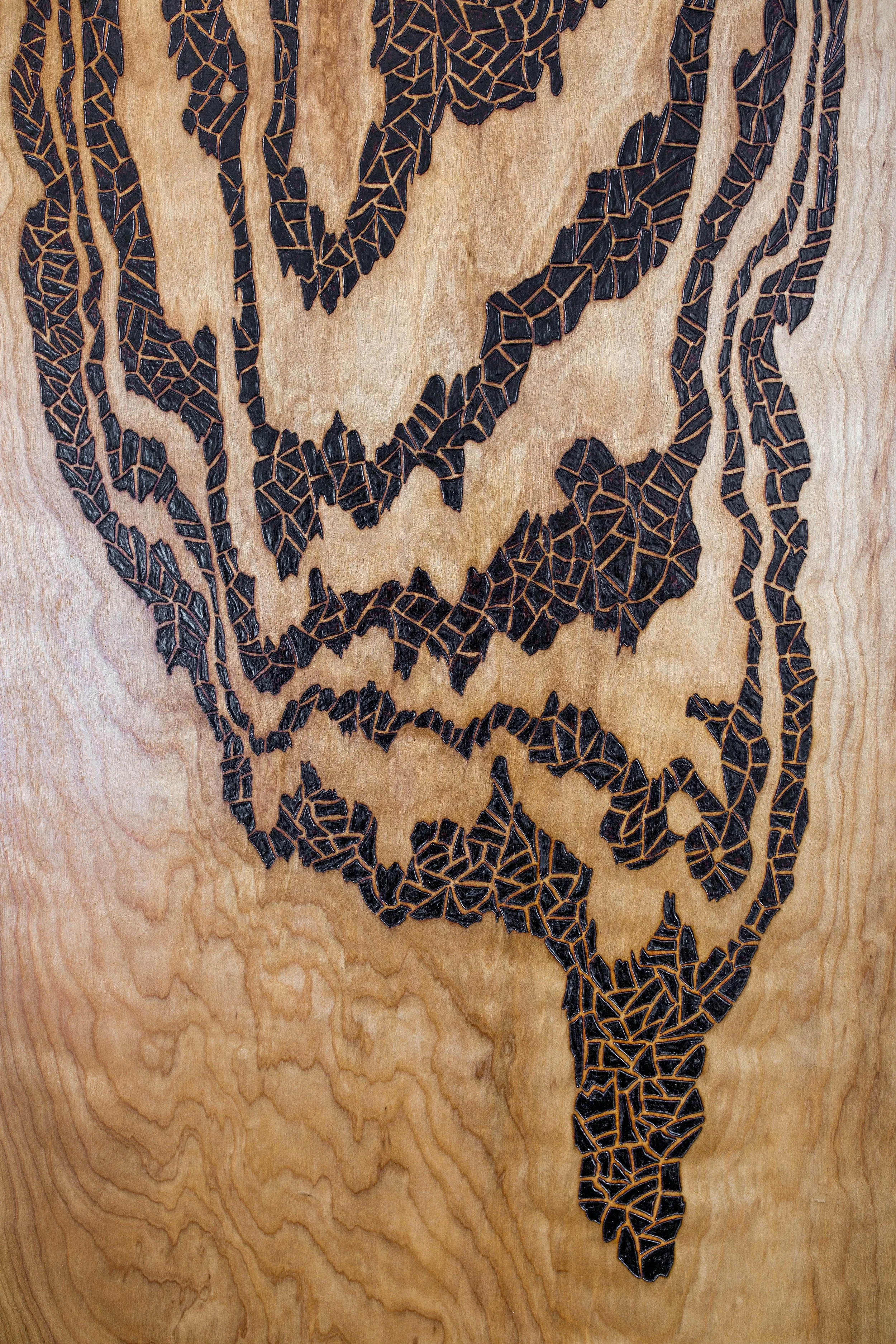 Inner Workings Of The Underground (2015) Wood Burning on Maple Wood 33 in x 1 in x 48 in