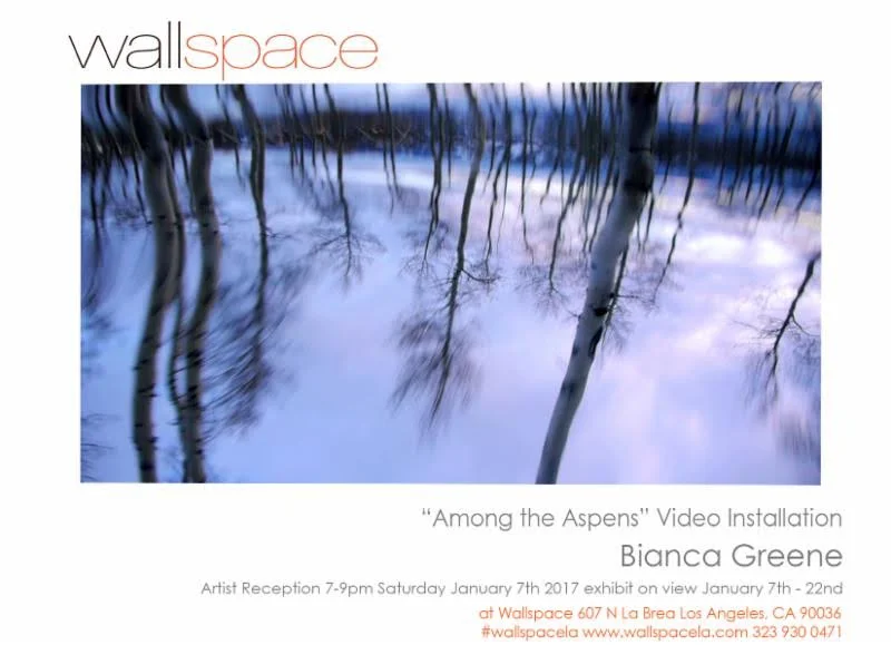 Wallspace Opening Flyer.jpg