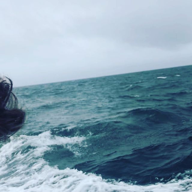 Clare Island  #sea #atlanticocean #ireland #dolphins #boat #wildatlanticway #irish