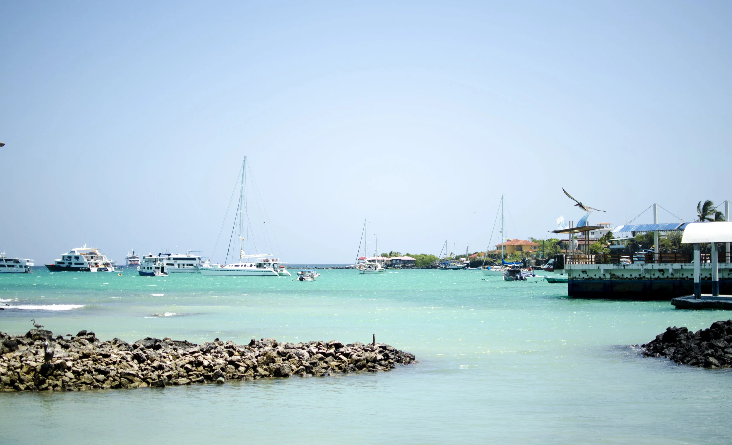 Santa Cruz, Galápagos.