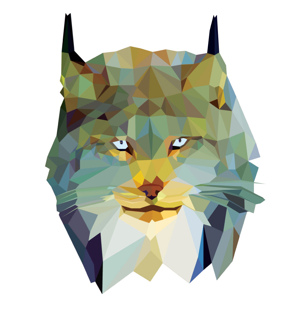  Lynx, Digital Illustration, 2013 