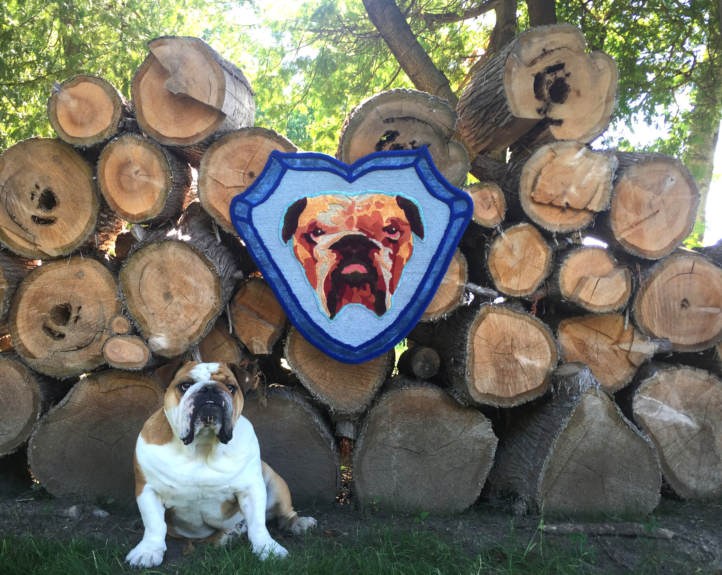   Dozer  • Custom rug of a client’s beloved bulldog • Wool &amp; Bamboo • 2016 