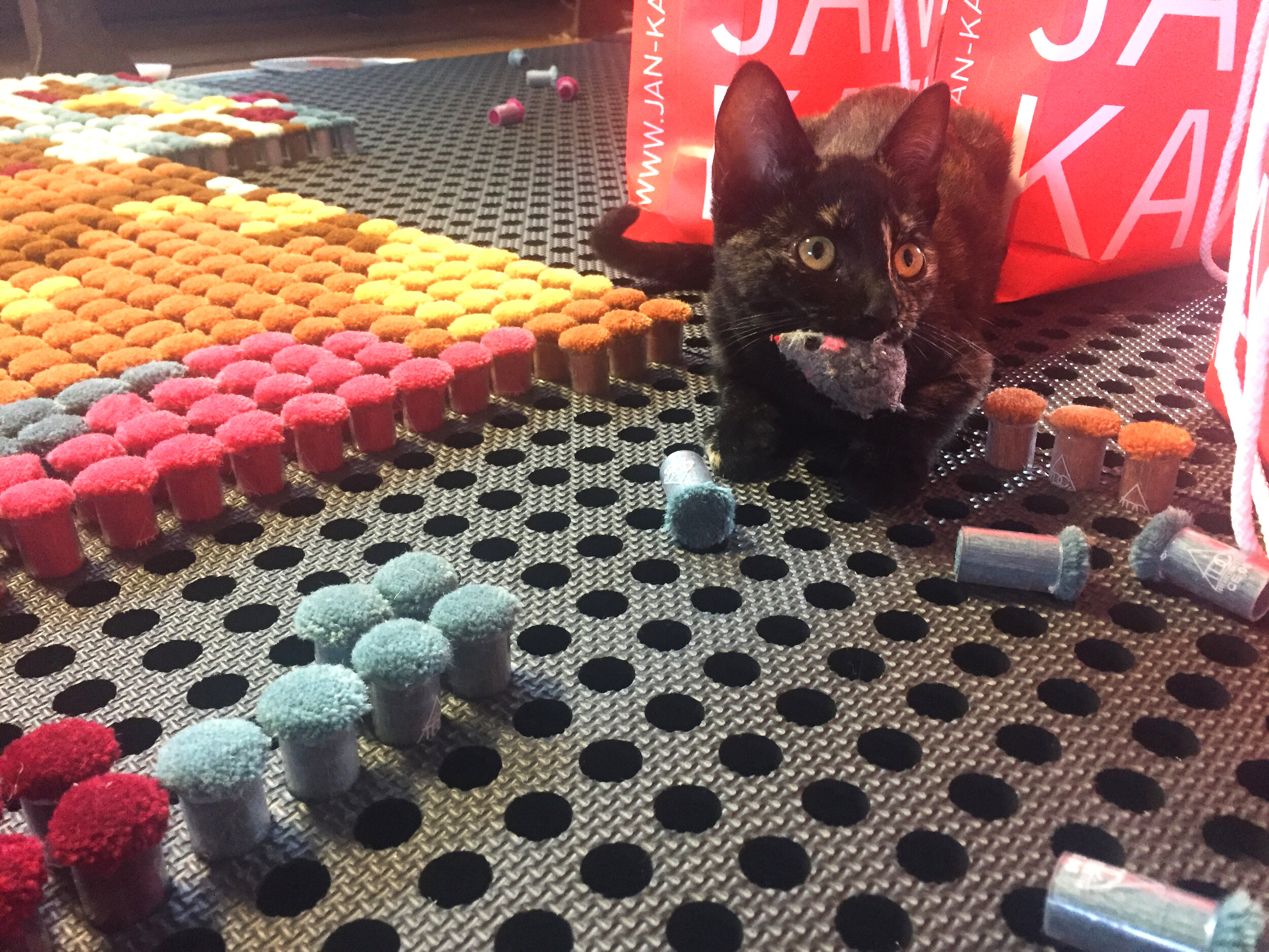  Robyn’s kitten helping her with the “Oh Canada” Pom Mosaic™. 