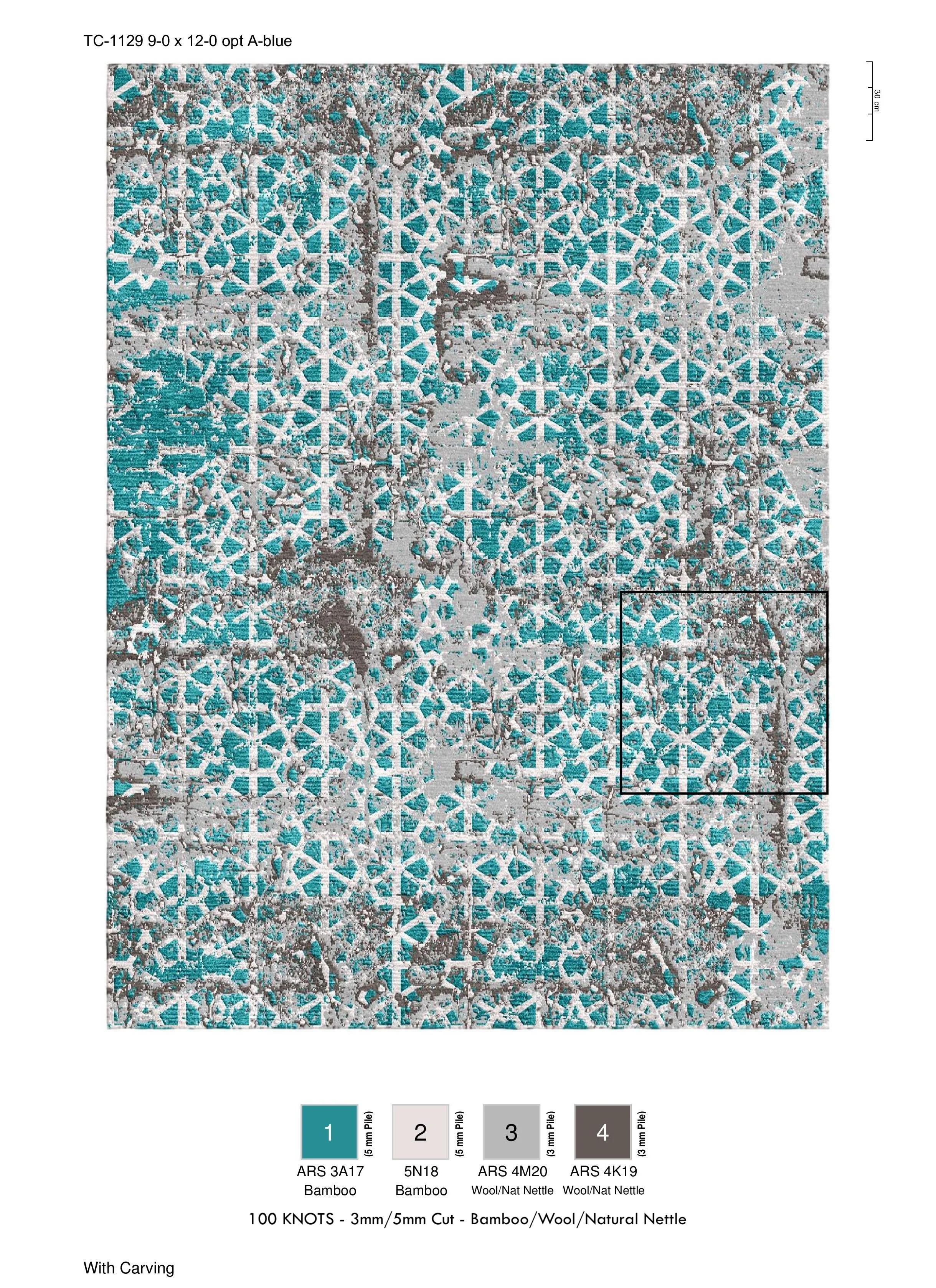 TC-1129 9-0 x 12-0 opt A-blue (Design Plate).jpg