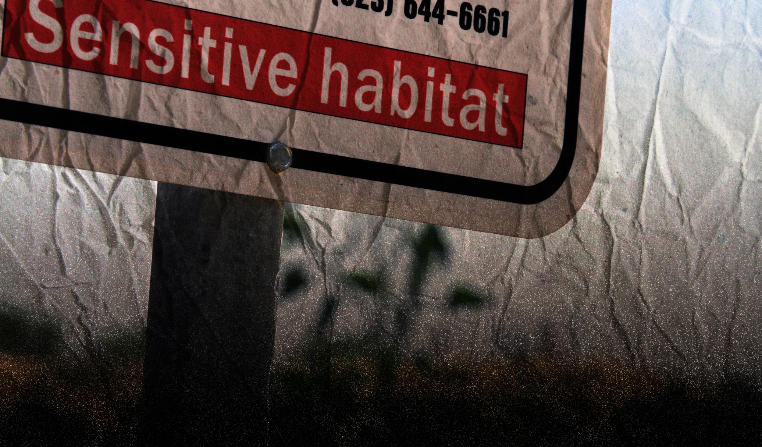 Banner8_IMG_3097.jpg