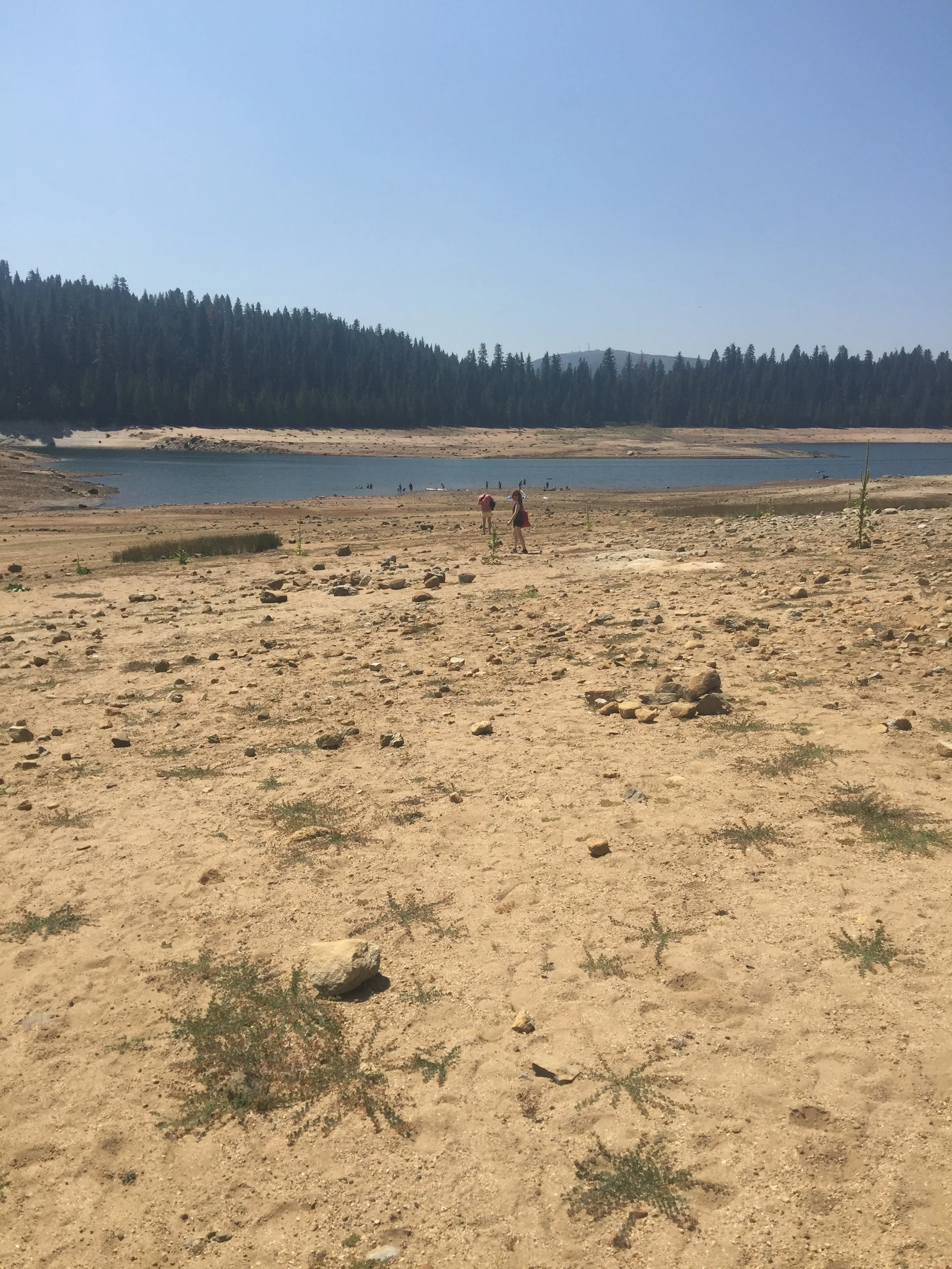Union Valley Reservoir, Calif. August, 2015. Photo: Sarah Lai Stirland