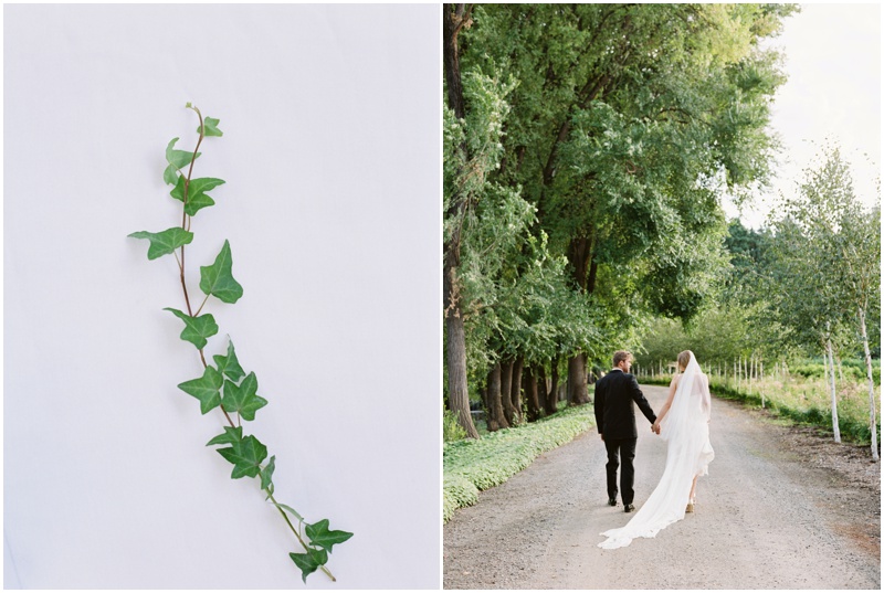 bride_groom_walking_holding_hand_in_hand.jpg