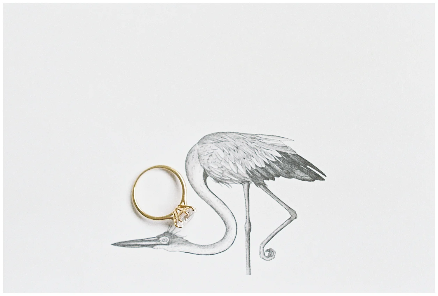 BetsyBlue_wedding_rings_0101.jpg