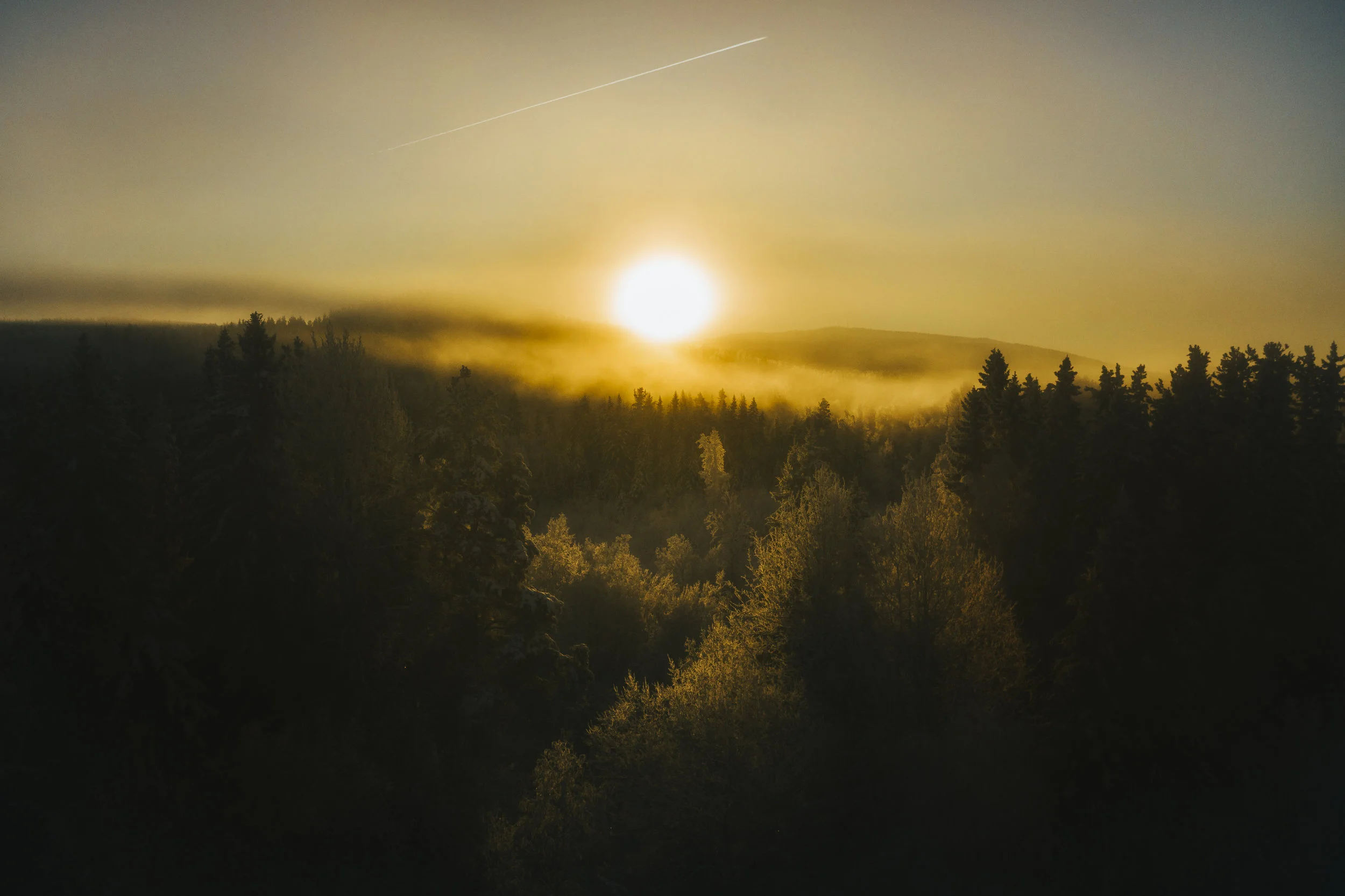 DJI_0181.jpg