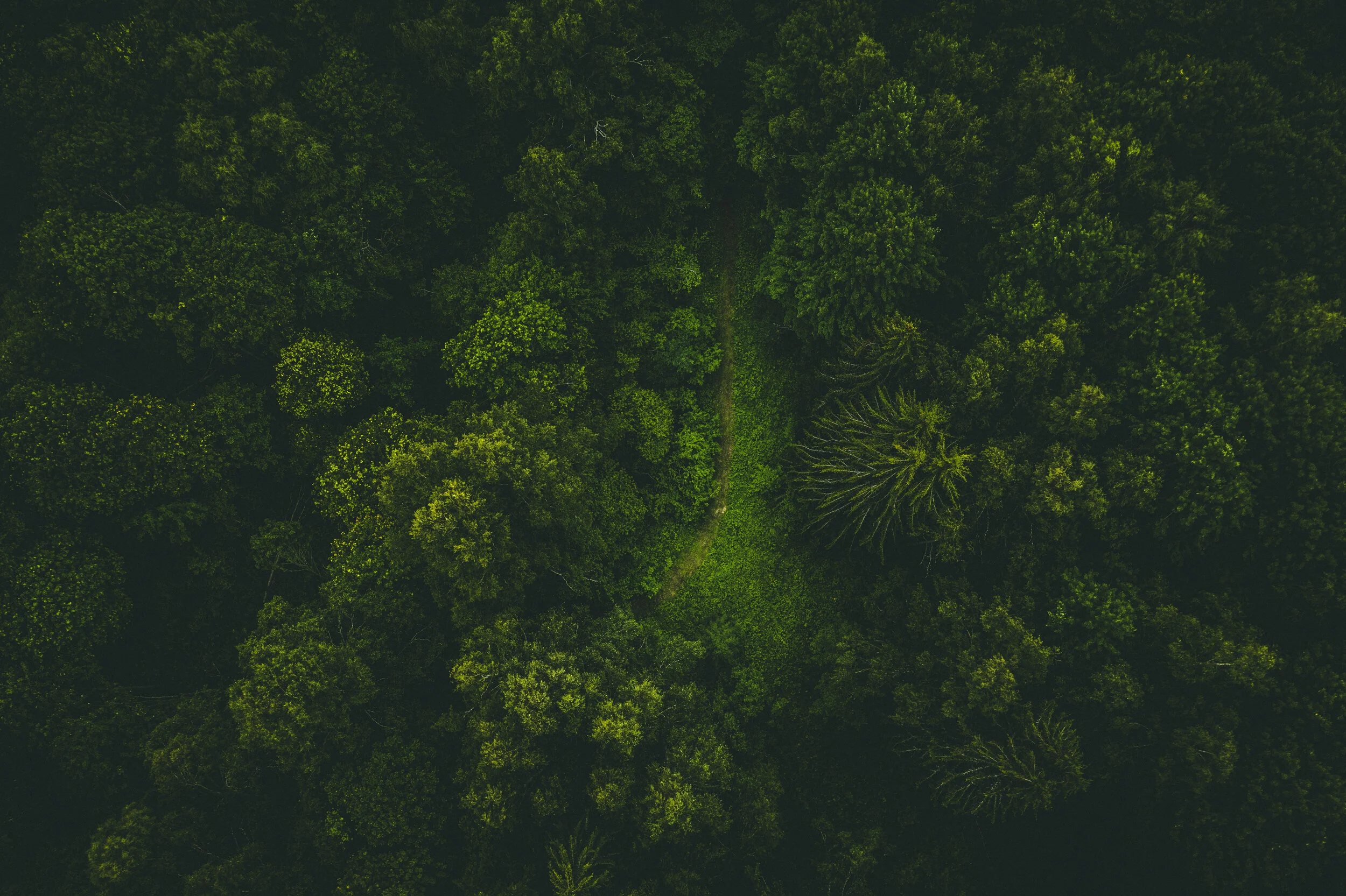 DJI_0802.jpg