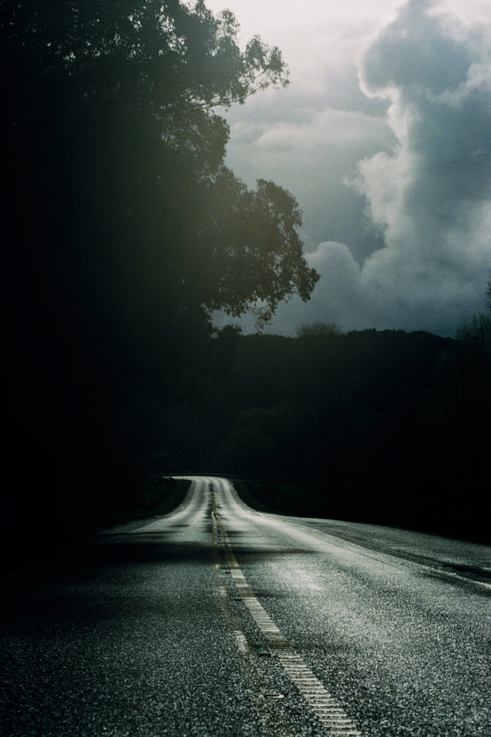 Paradise Road by Brian Sweeney with essay by Stuart McKenzie, Edizioni Charta, Milan. $39.95