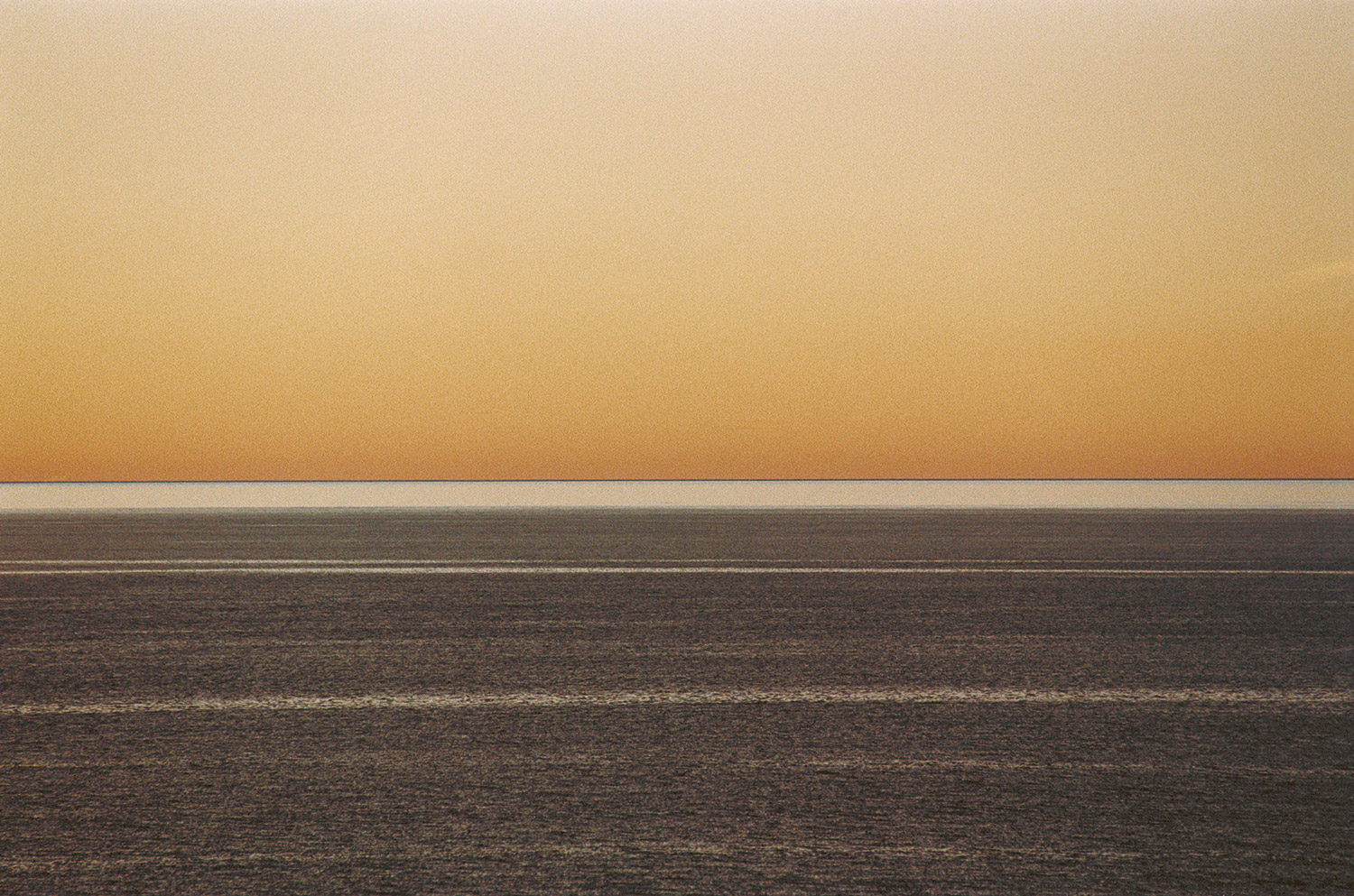 RAUMATI (GOLD) 2009, 20” x 30” $950