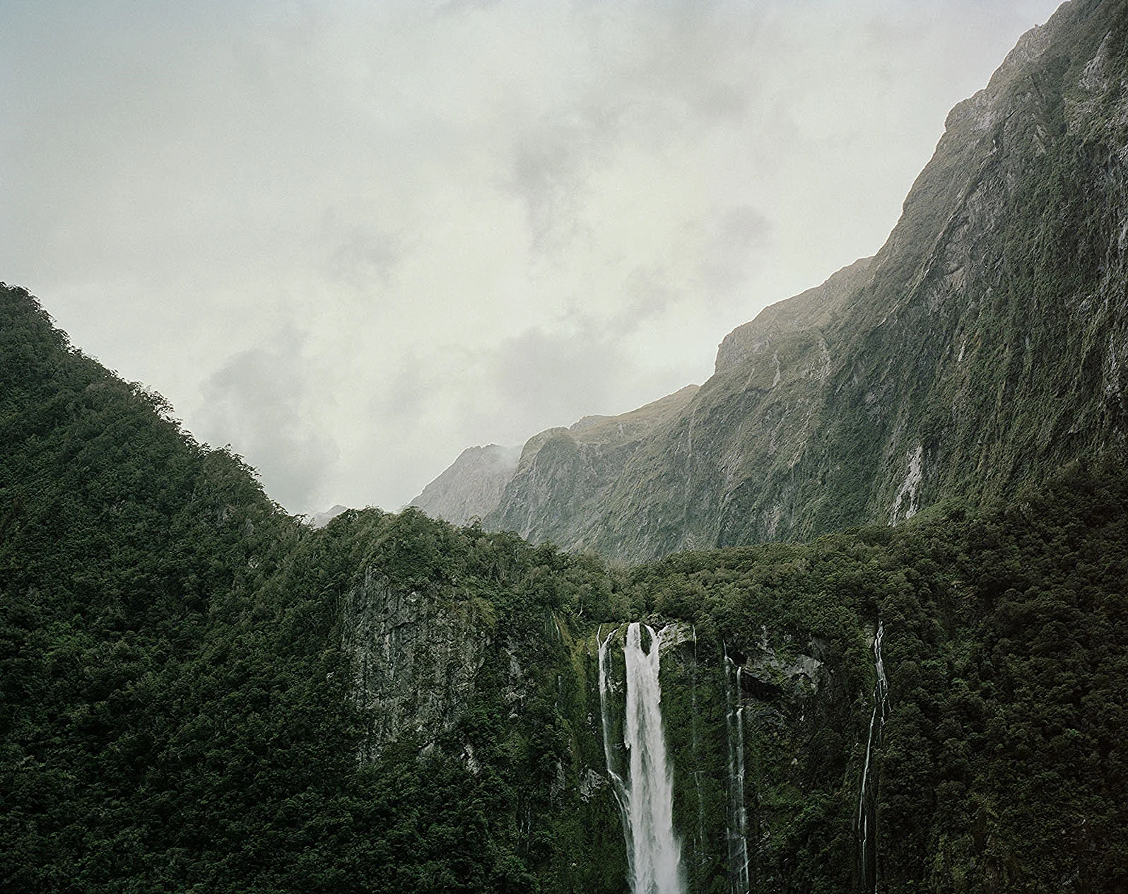 Piopiotahi II WEB.jpg
