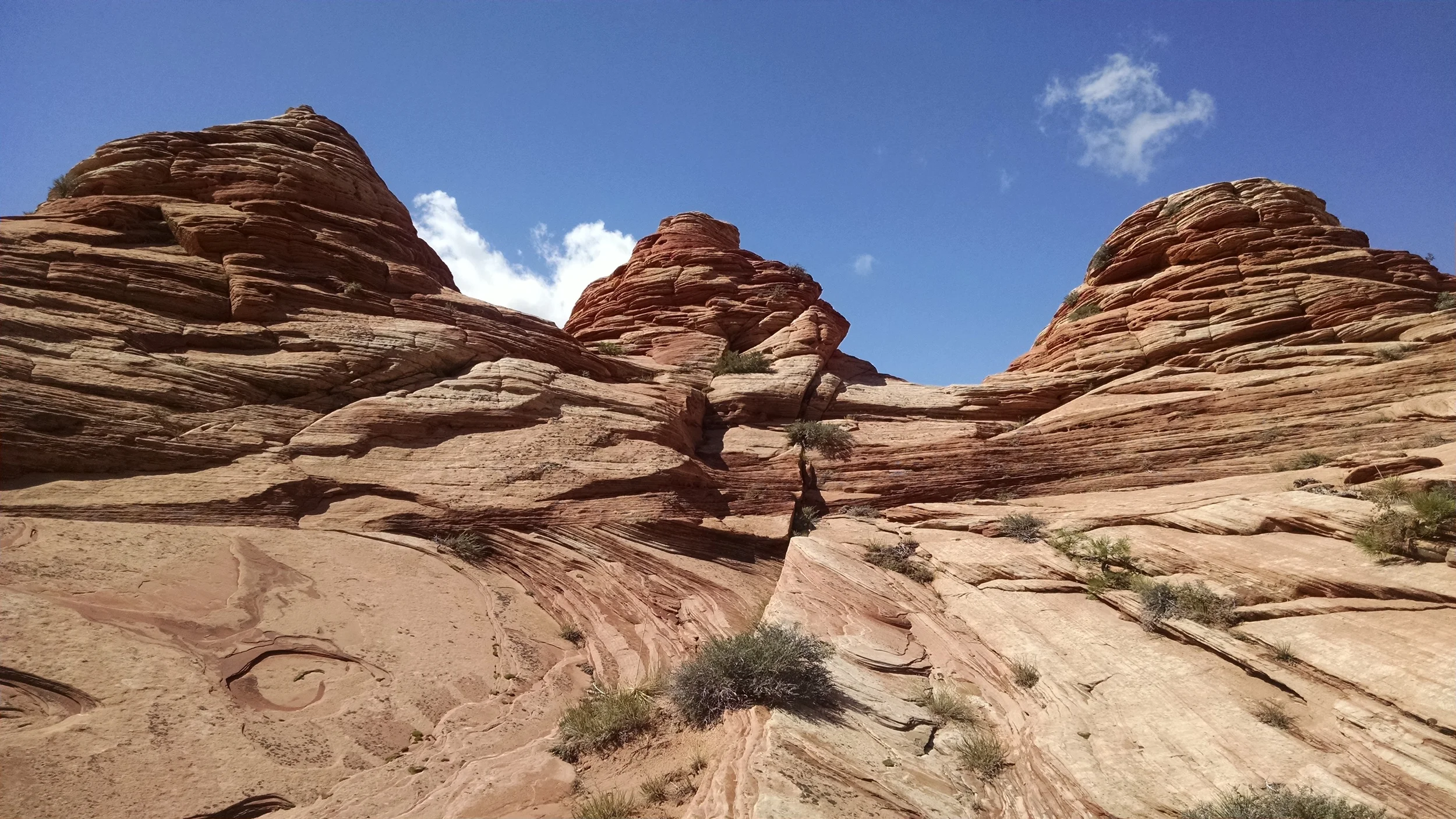 Three of the five Hoodoo judges