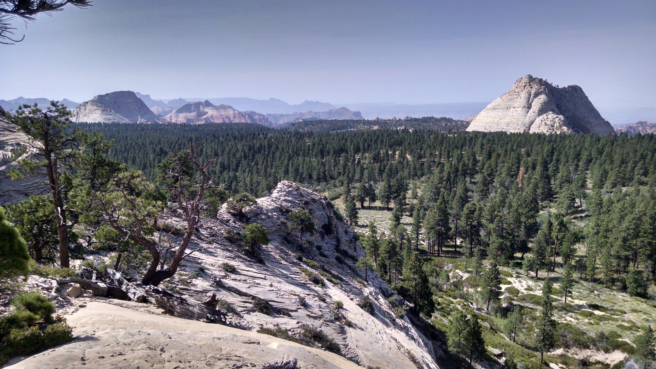 Saddle view south. Pine Valley Peak picture right.