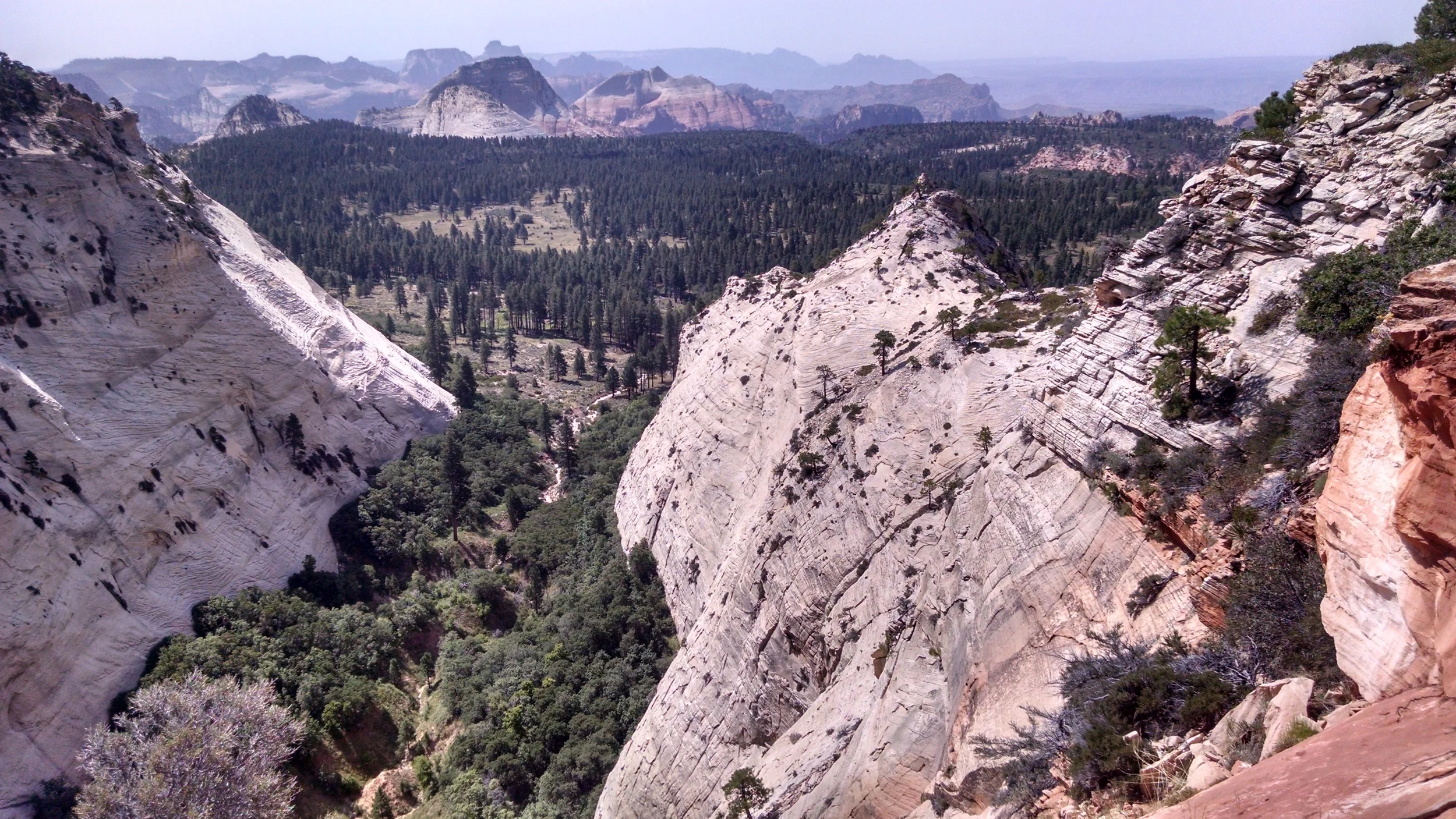 Etymology: In Utah's Canyon Country Place Names, Volume 2, Steve Allen notes that the USGS provided the name for "the deep recesses in the south face of this white-cliff mountain" (1)