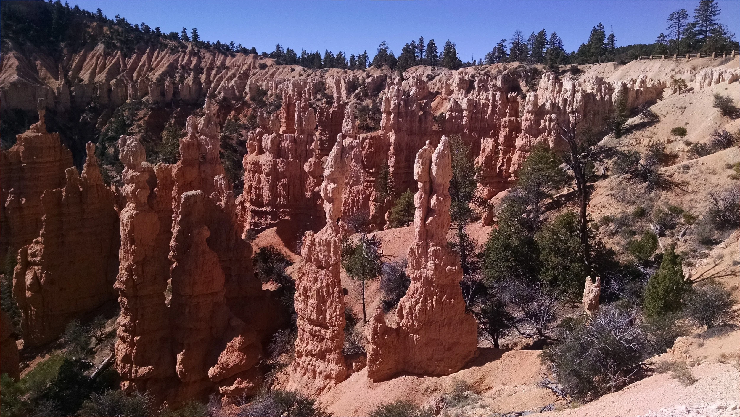 Just below the rim on Fairyland Loop Trail. &nbsp;Looking back toward the parking lot and viewing area.
