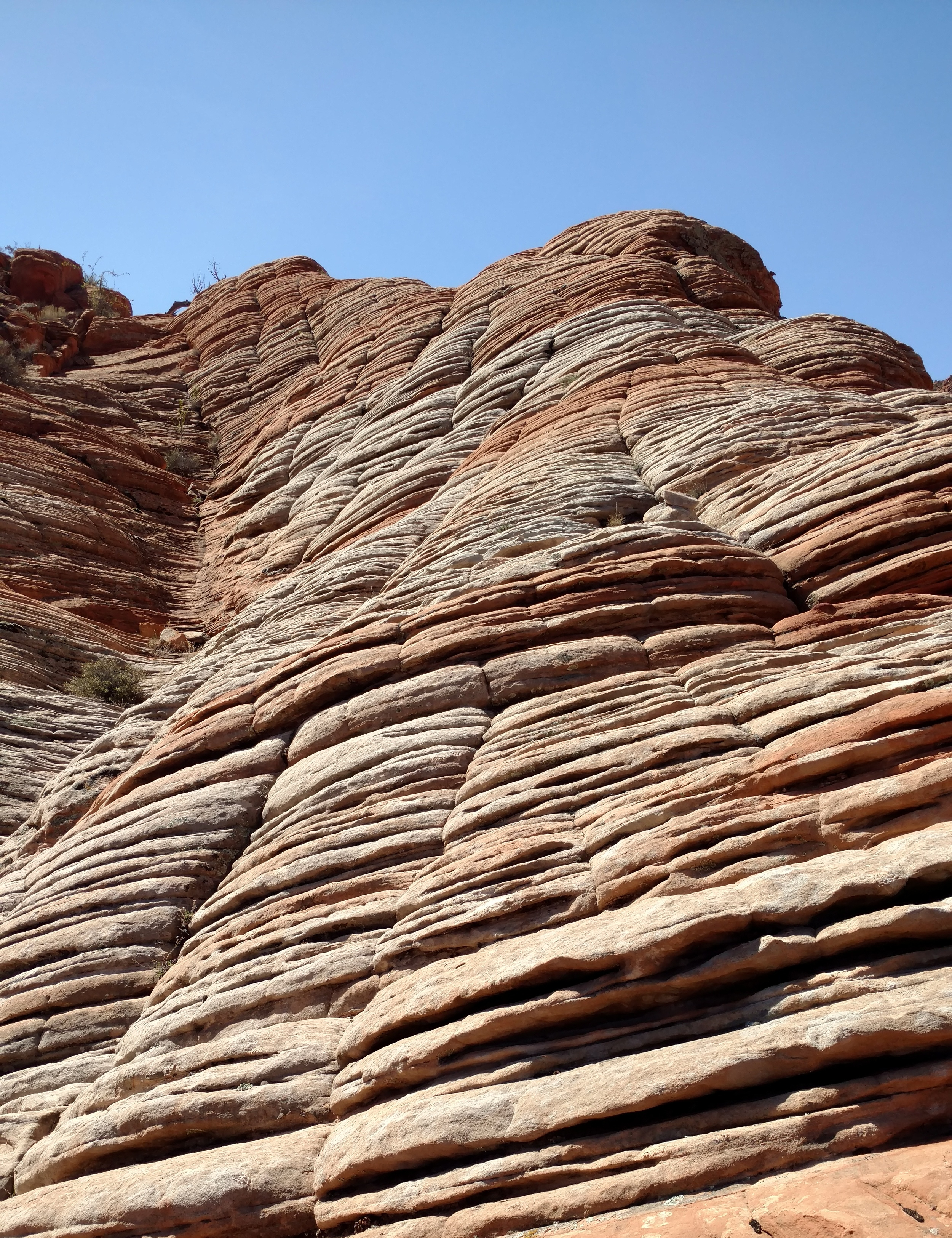 Slick rock backbone hiking.