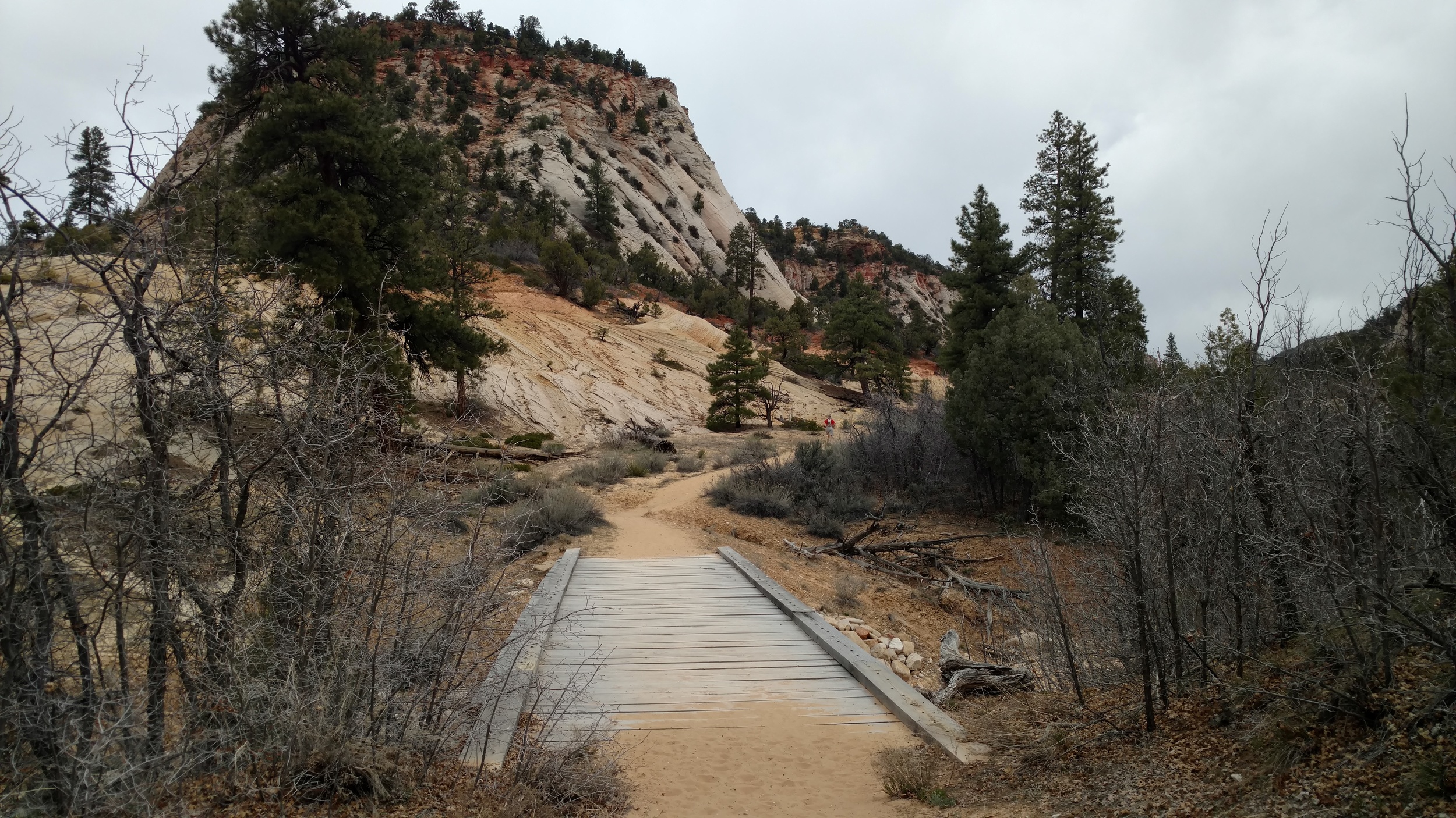 East Rim Trail