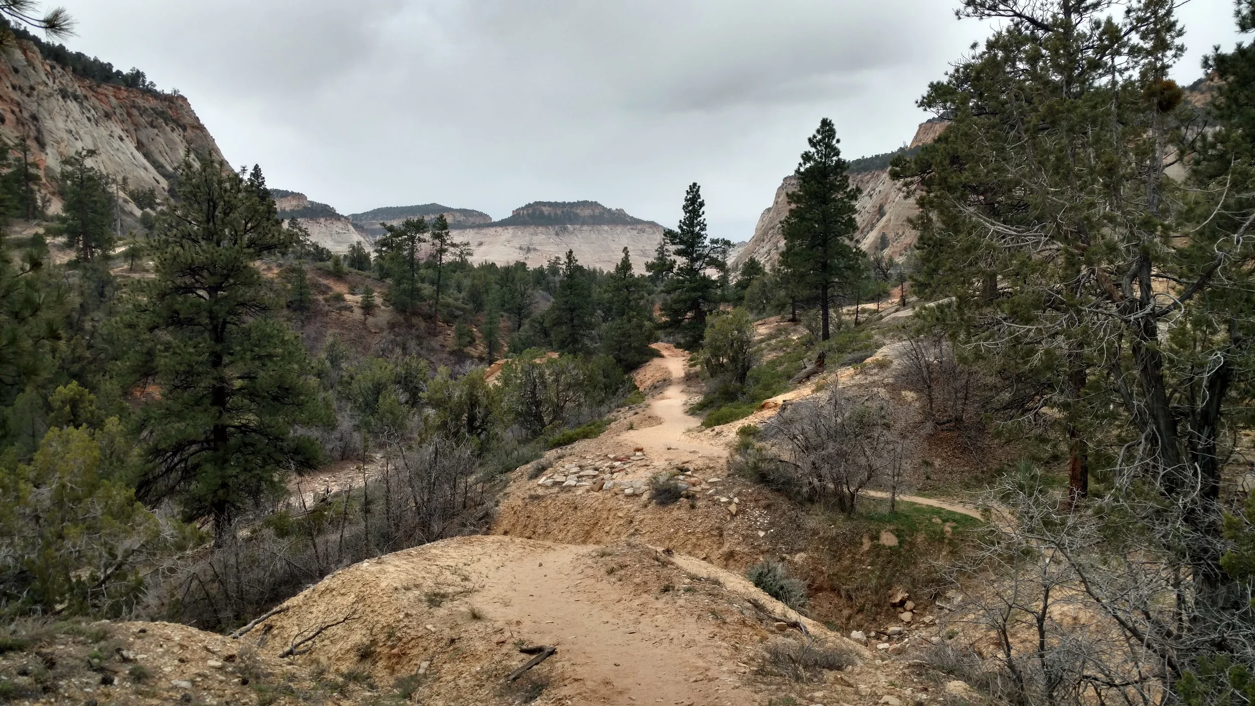 East Rim Trail