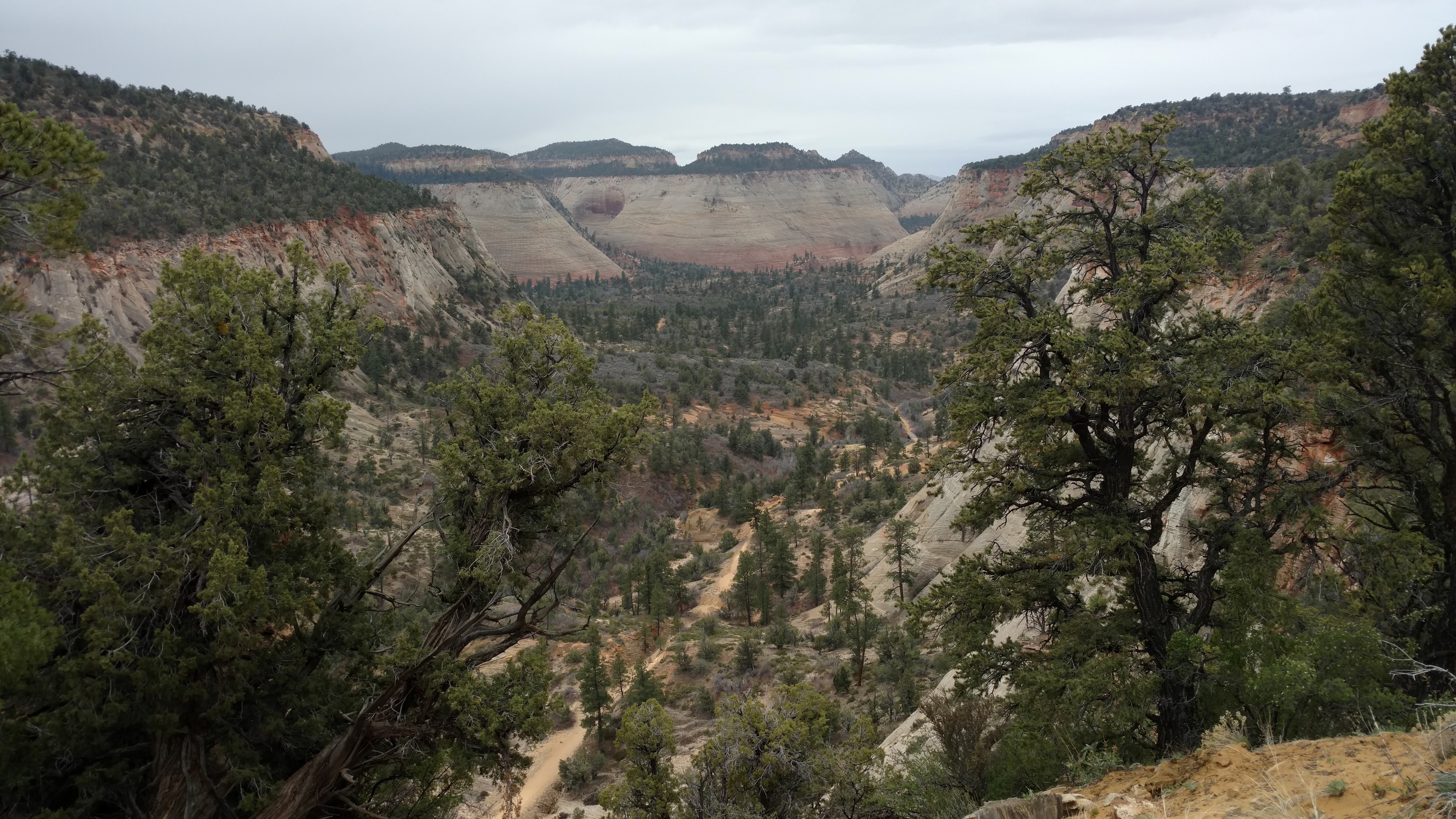Looking down on the East Rim Trail
