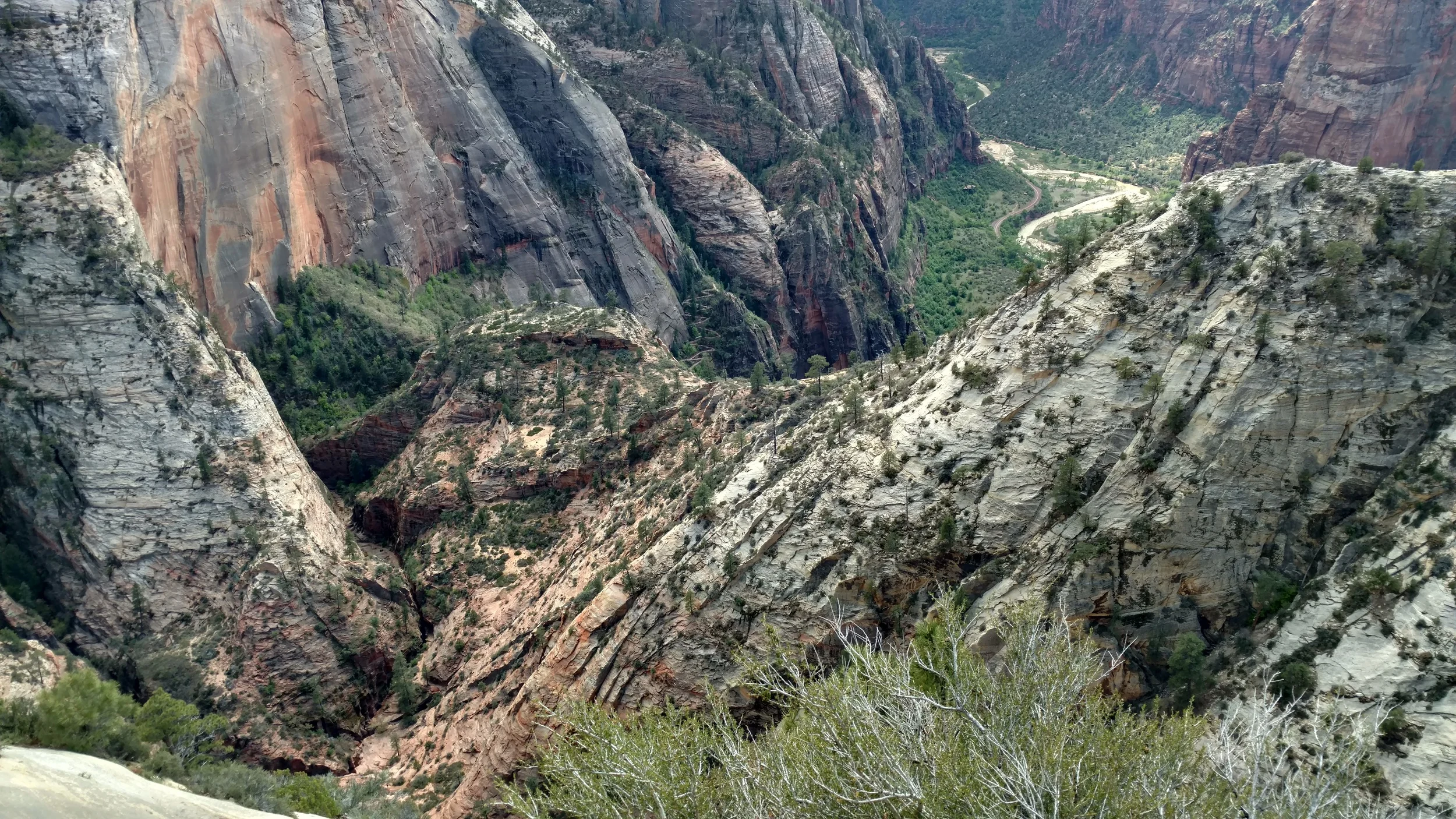 View from Observation trail, looking down into Echo Canyon. The East Rim Trail follows the narrow slit seen below.