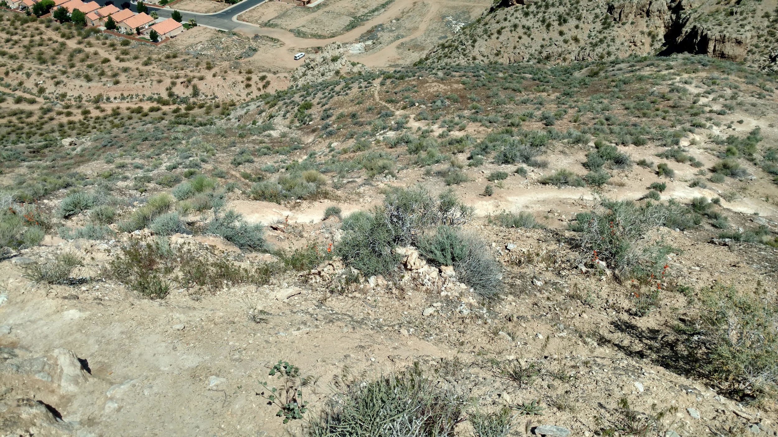 Looking back to trailhead