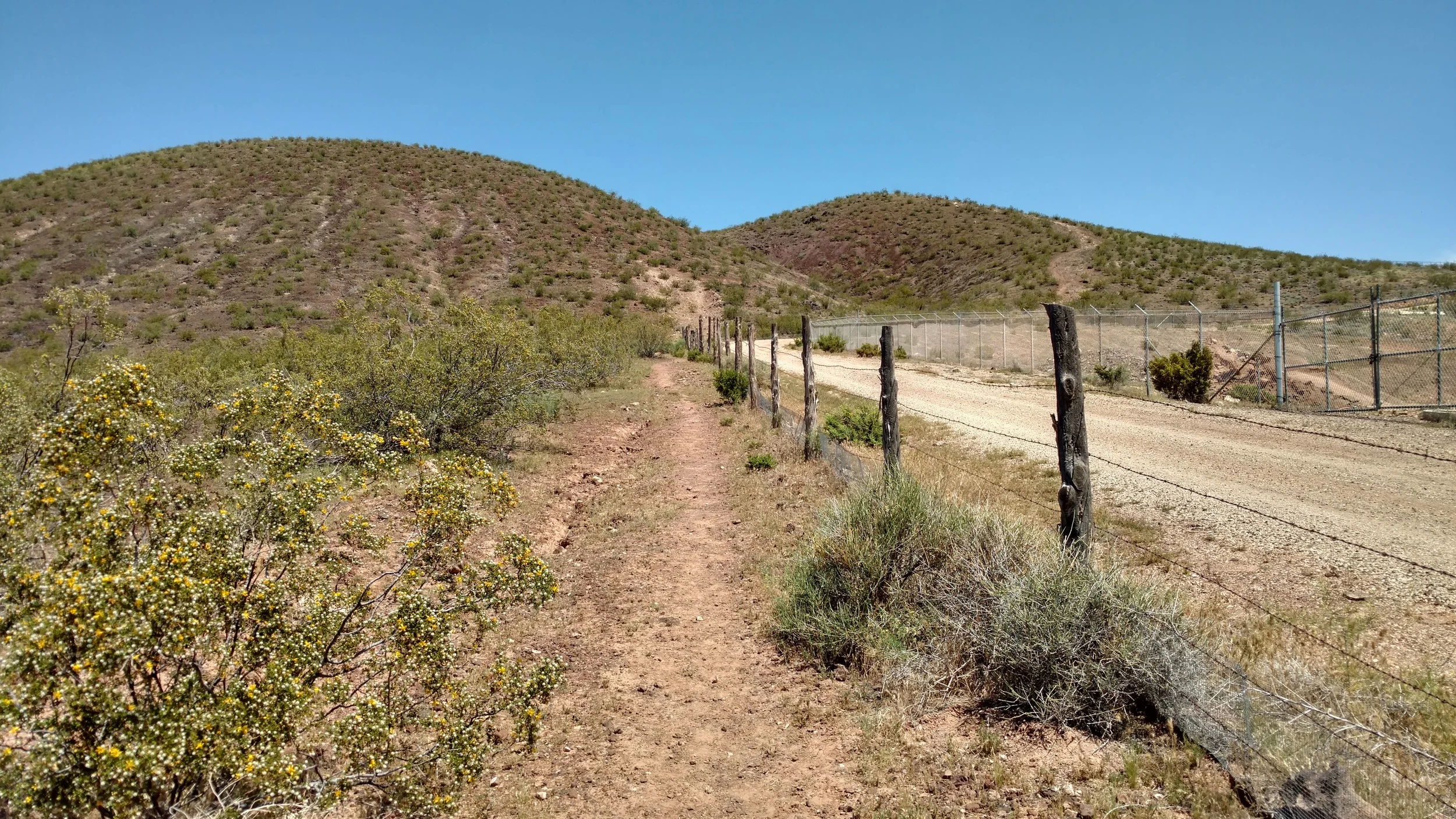 Hiking trail leading to the East Cinder Knoll