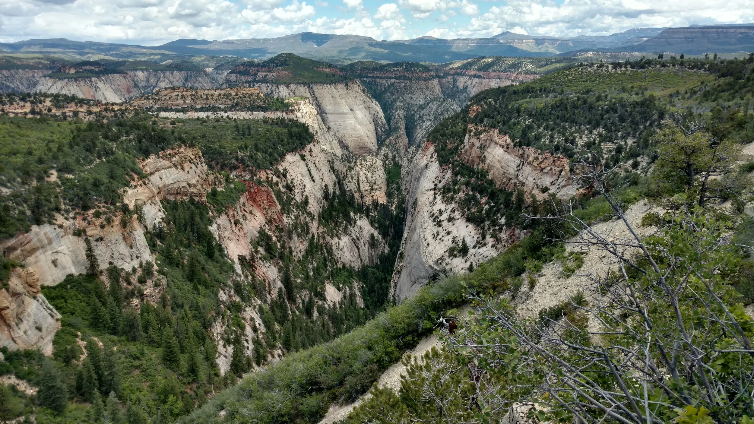 Mystery Canyon