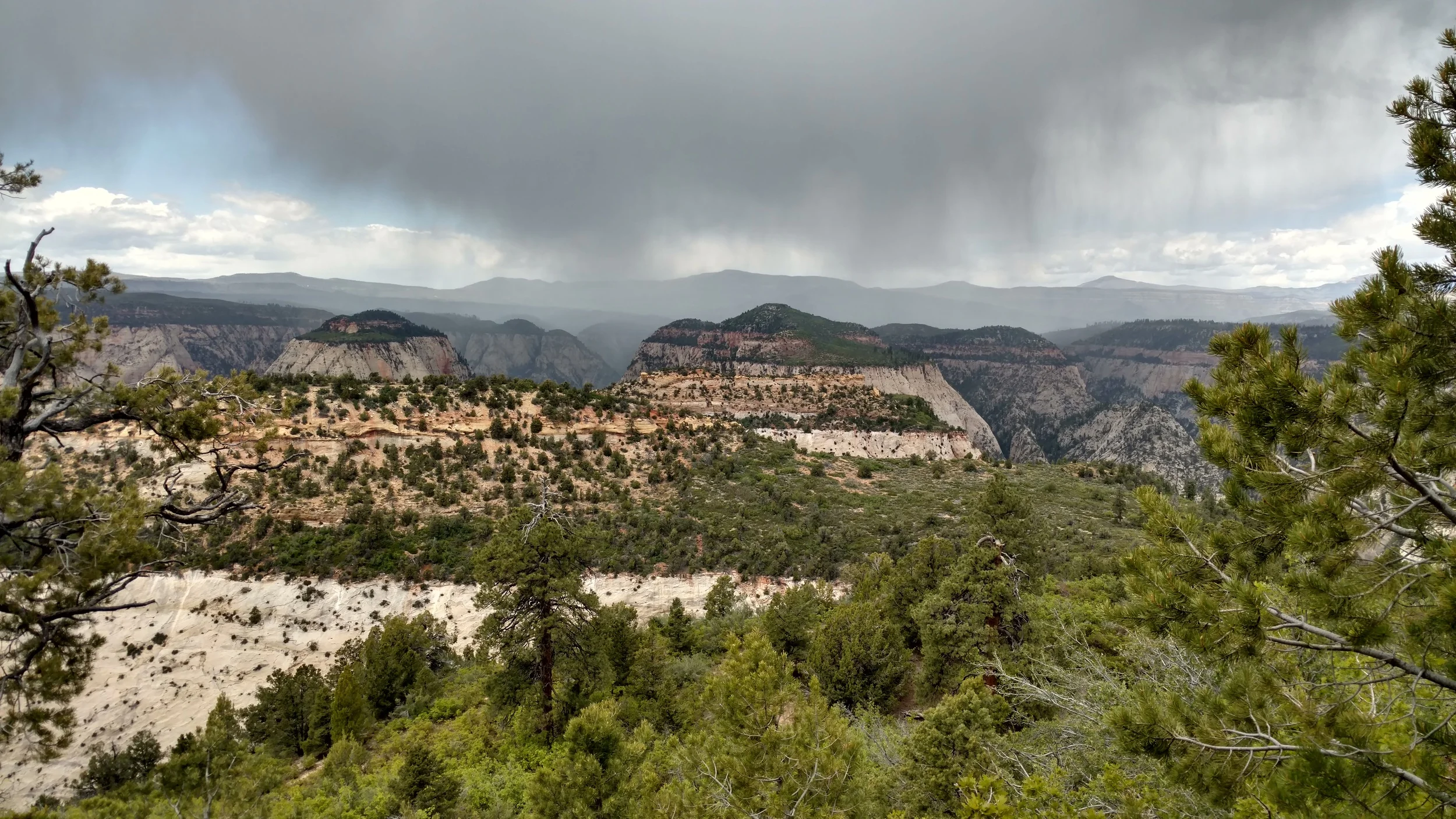 Rain in Zion Narrows